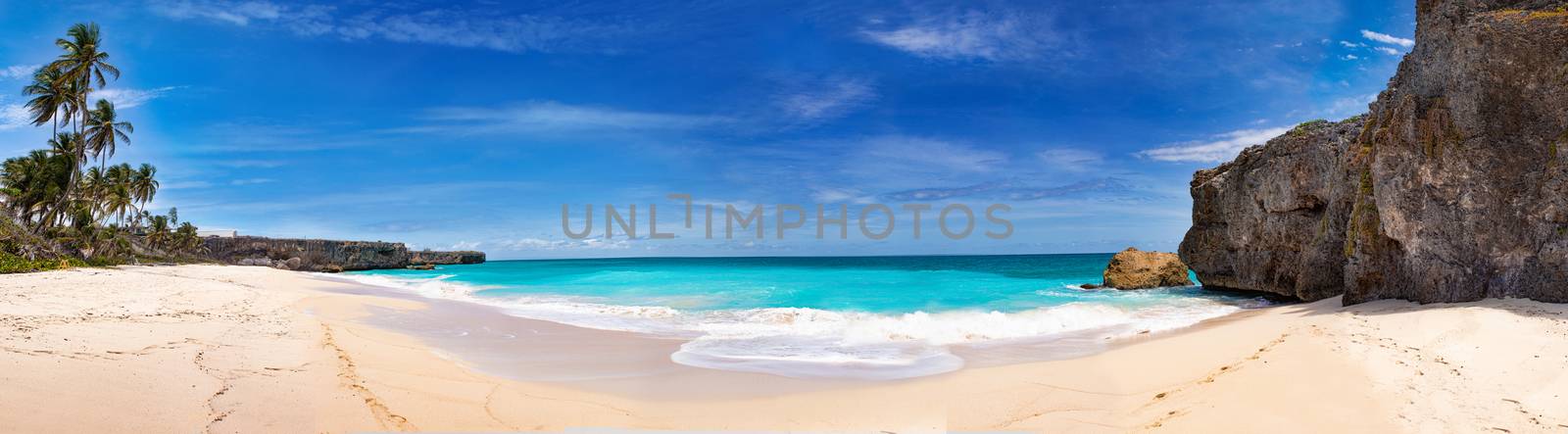 Beaches in the Caribbean on Barbados. Calm scene with palm trees