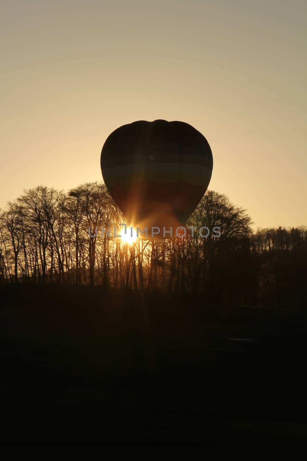 hot air balloon near a forrest with sun glowing through trees