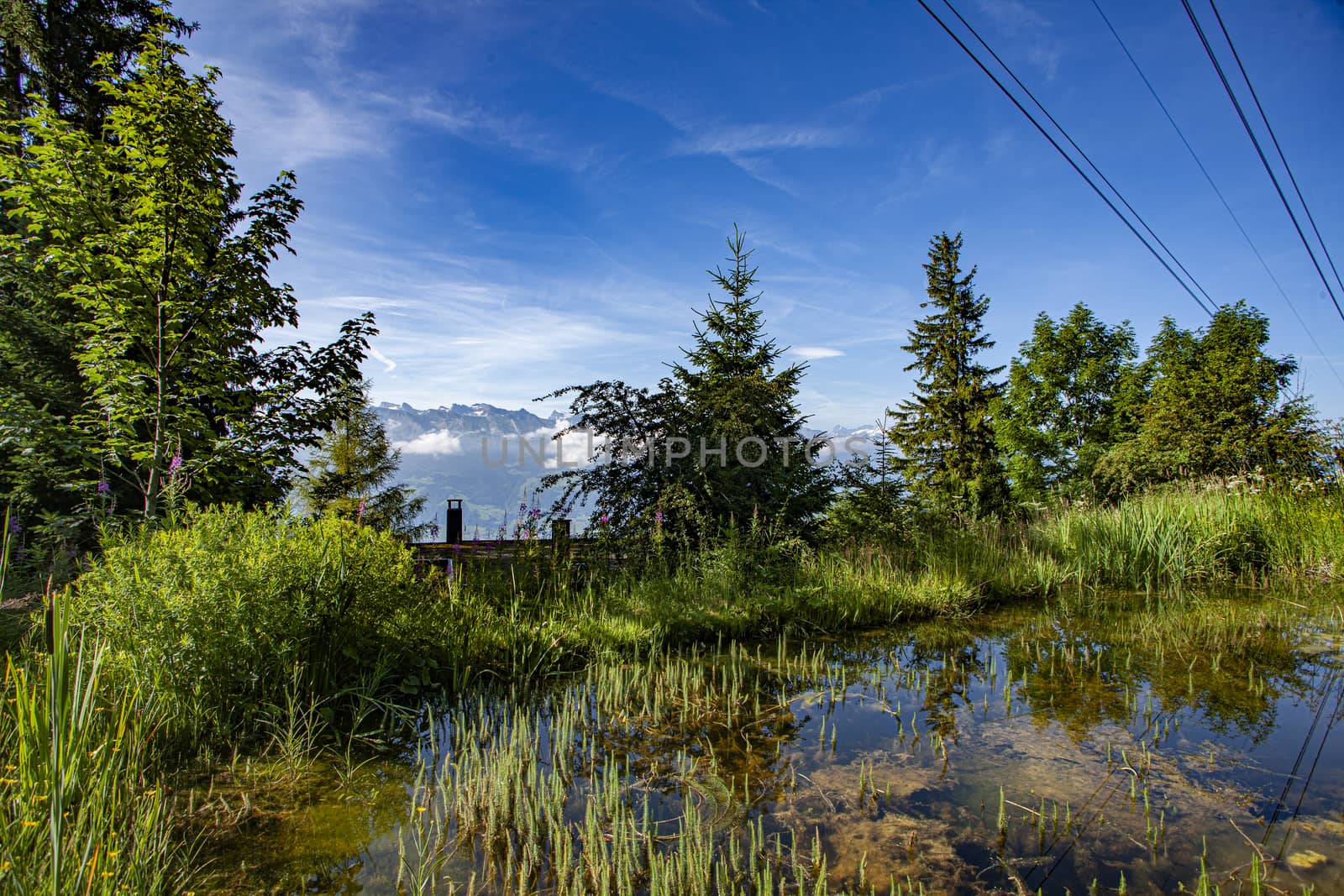 Swiss Alps landscape up in Rigi Kaltbad by PeterHofstetter