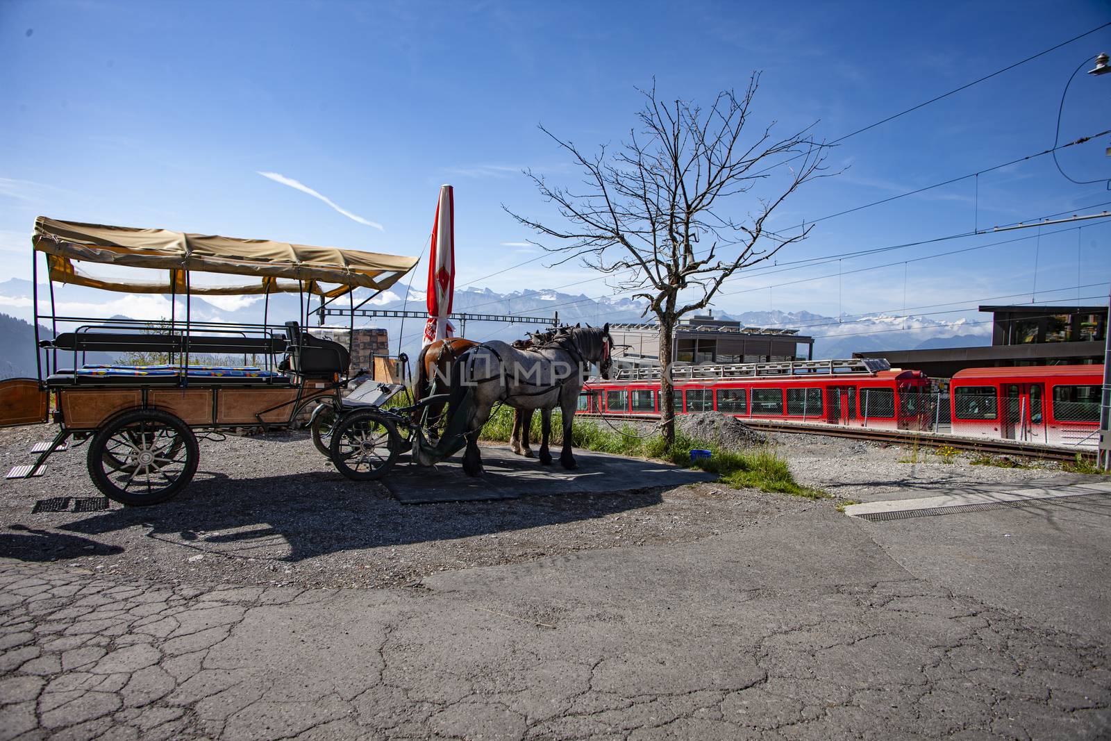 Landscape, Rigi Kaltbad, Switzerland with horse and carriage