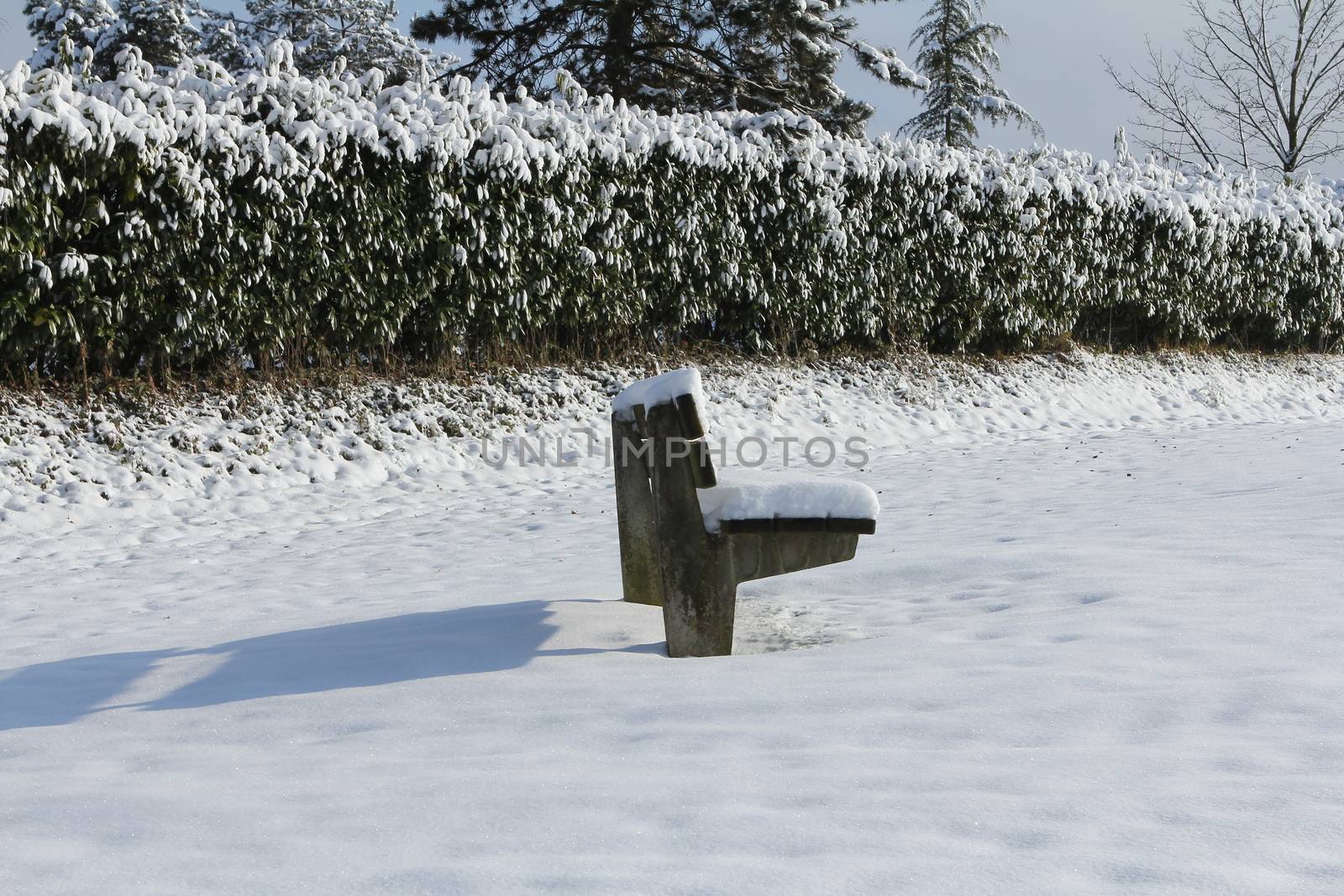 lonely bank in cold snow casting a shadow