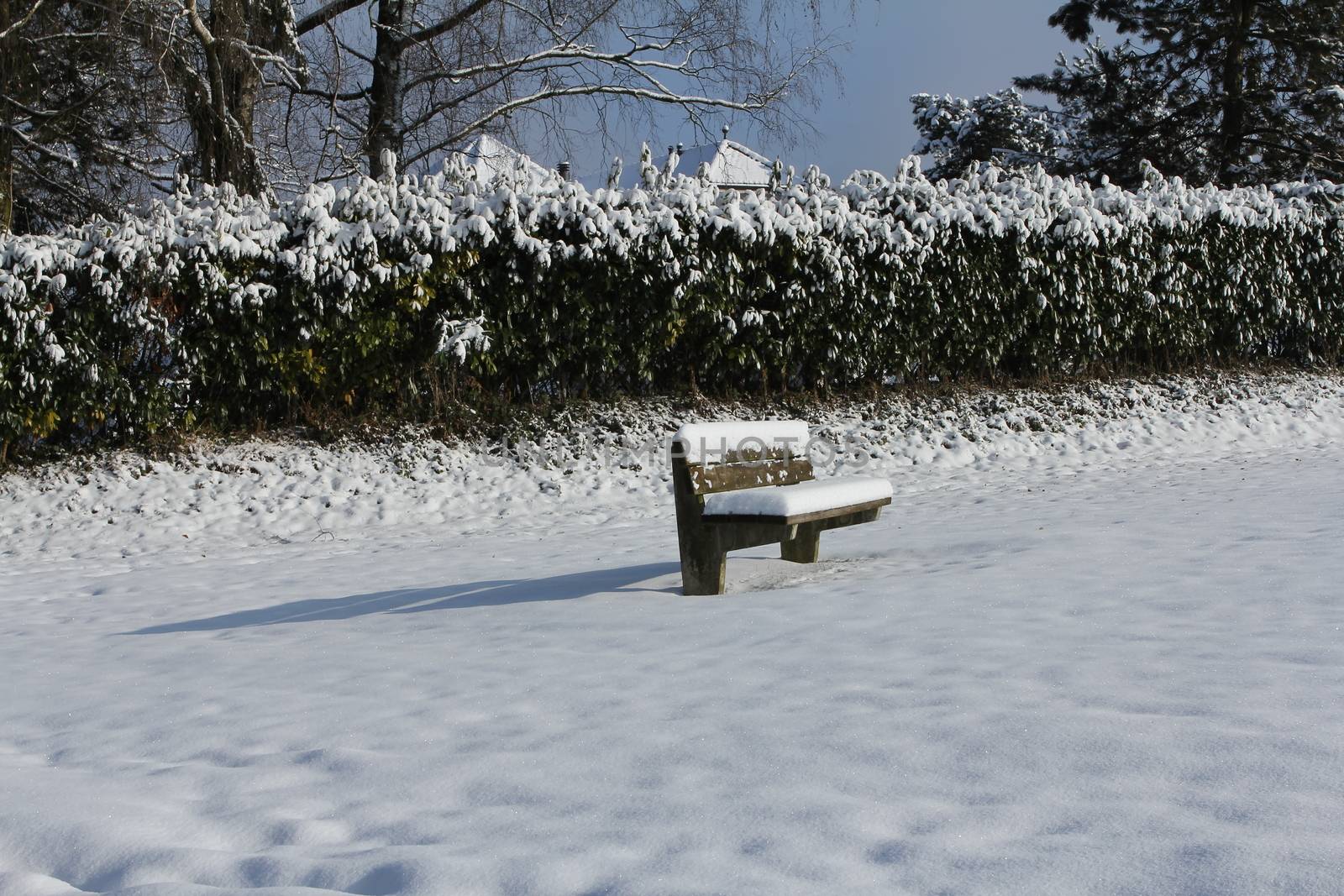 lonely bank in cold snow by PeterHofstetter