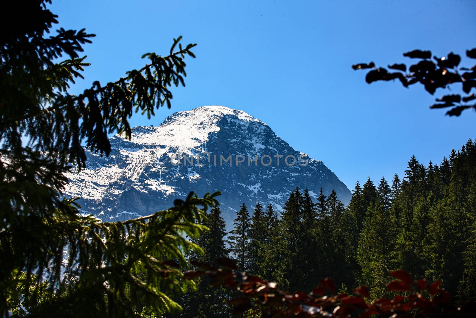 mountains around grindelwald in Switzerland with snow covered mountain