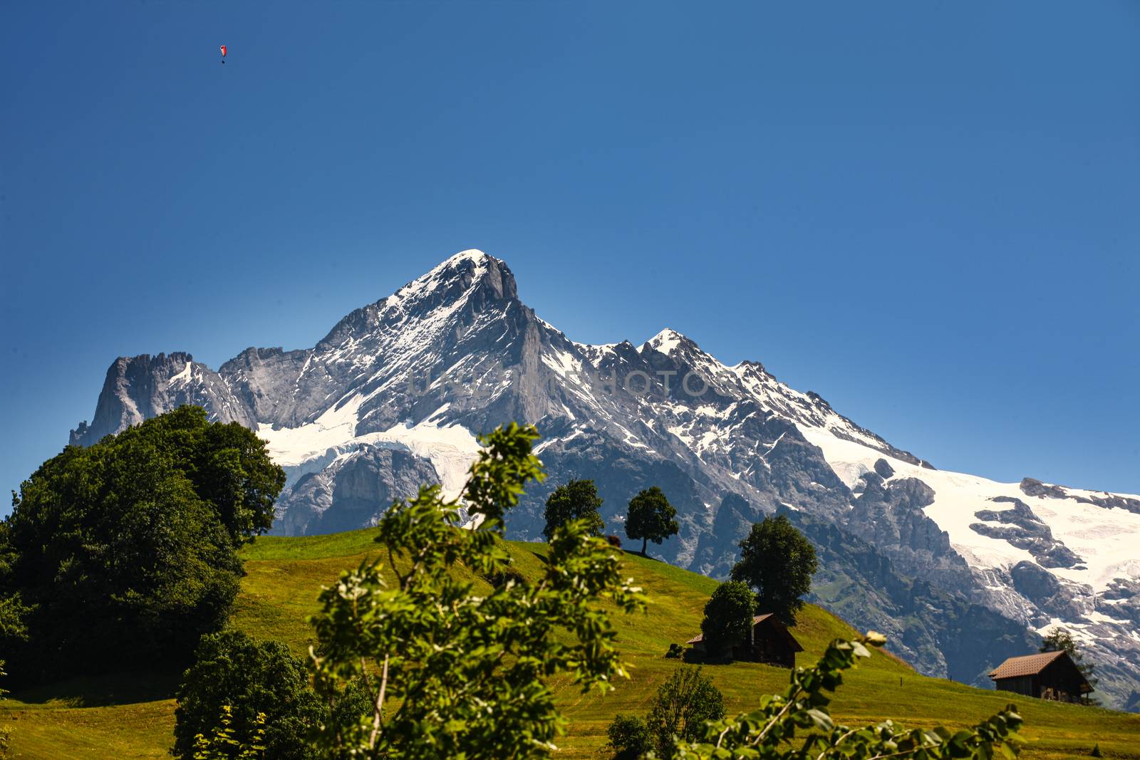 mountains around grindelwald in Switzerland by PeterHofstetter