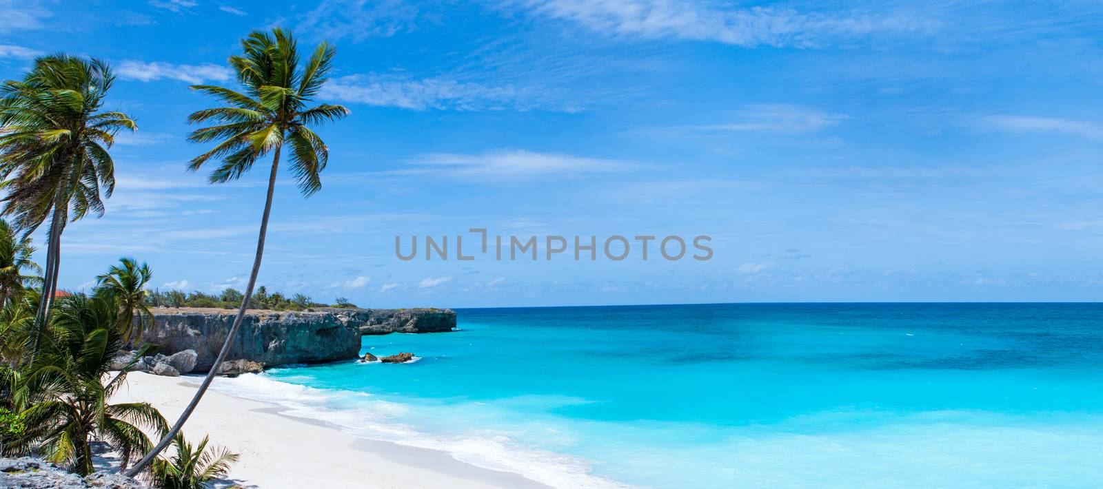 beautiful beach with blue sea on Barbados. Calm scene with palm trees