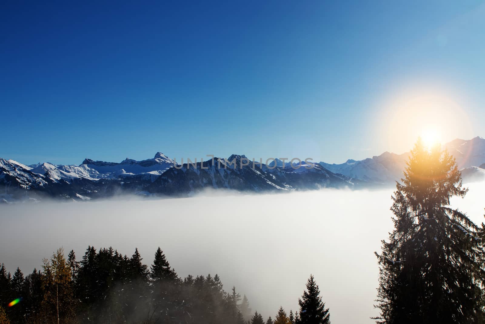 above the fog in Lungern with the swiss Alps