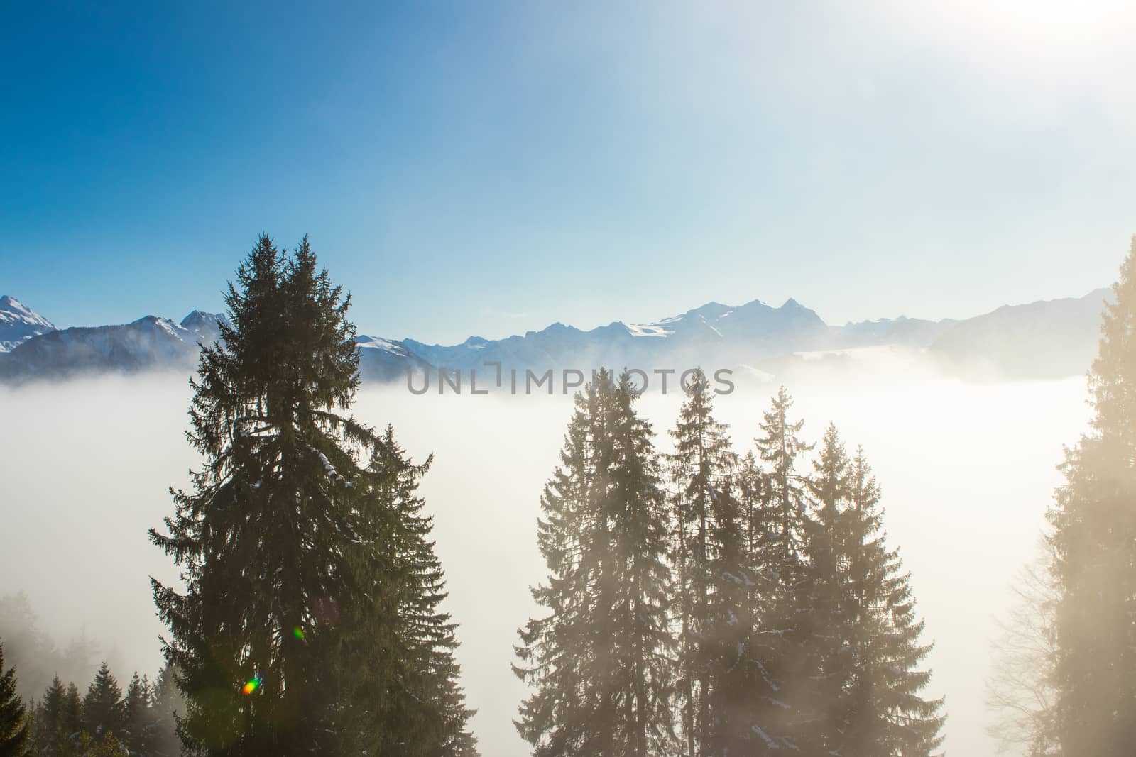 above the fog in Lungern with the swiss Alps by PeterHofstetter