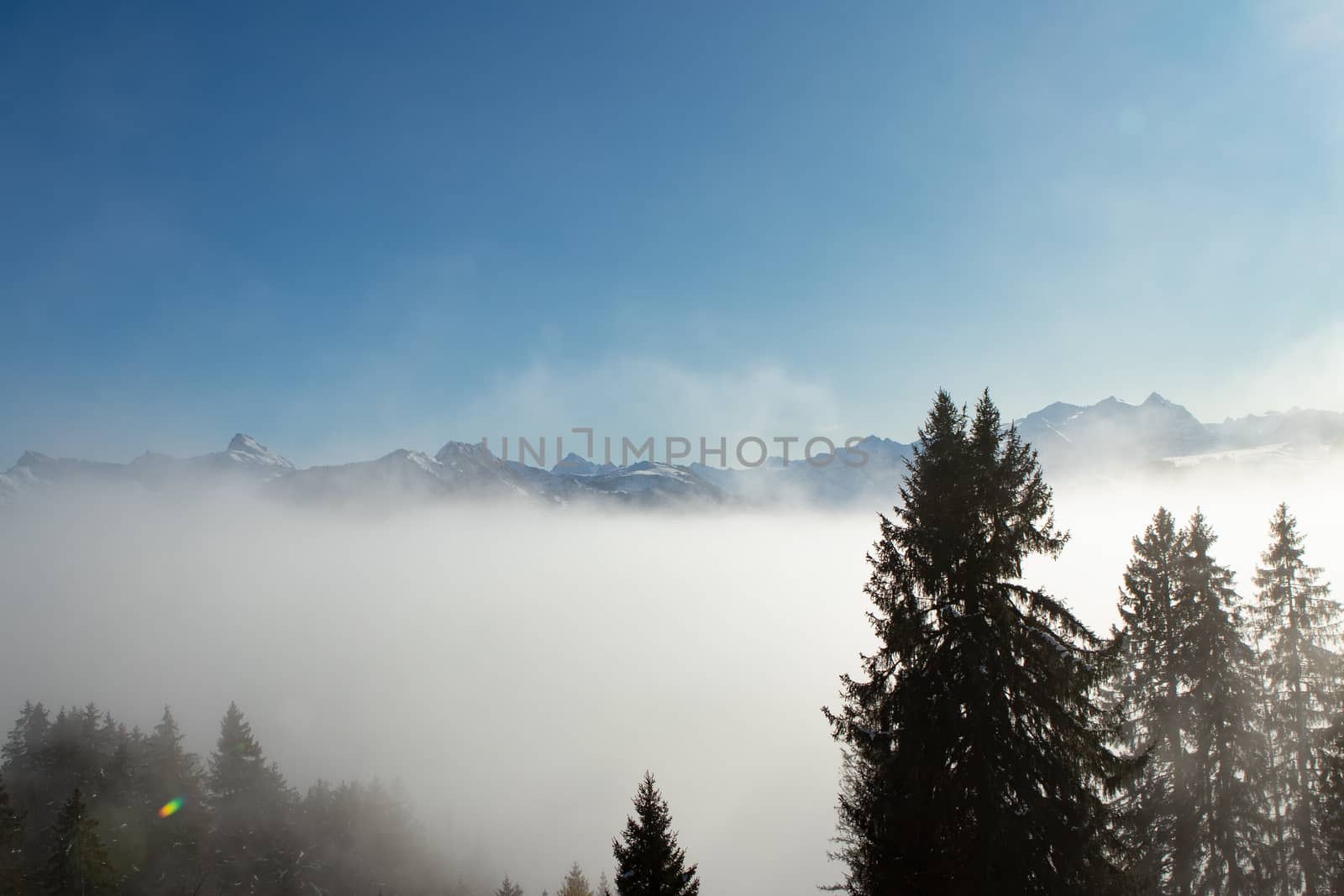 above the fog in Lungern with the swiss Alps by PeterHofstetter