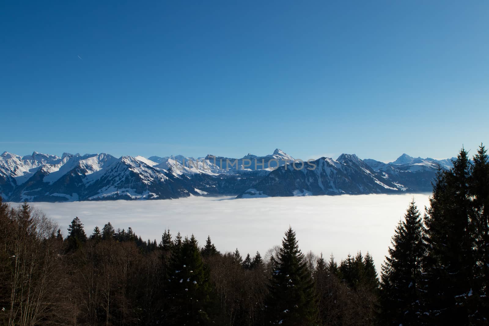 above the fog in Lungern with the swiss Alps