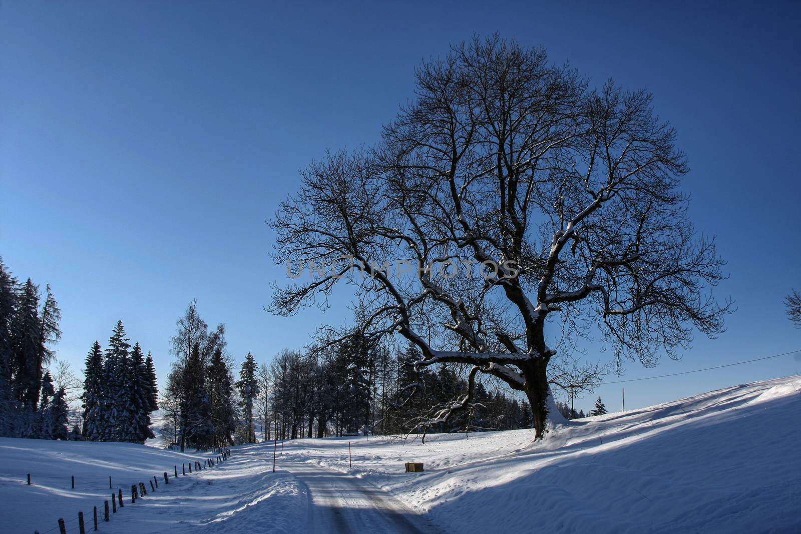 Winter landscape early morning after a light snowfall in Zug, Sw by PeterHofstetter