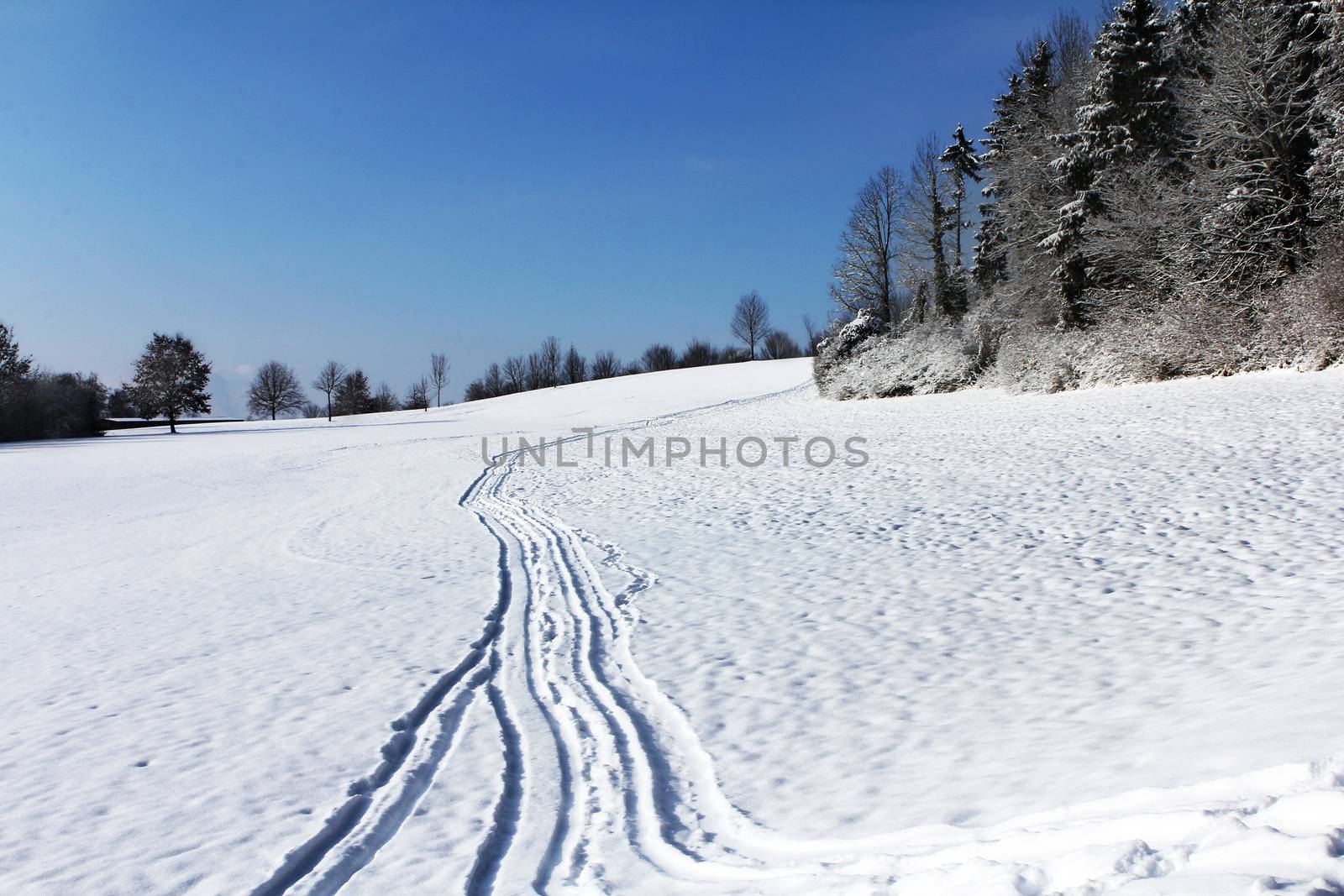 Winter landscape early morning after a light snowfall in Zug, Switzerland. With tracks in the snow and trees