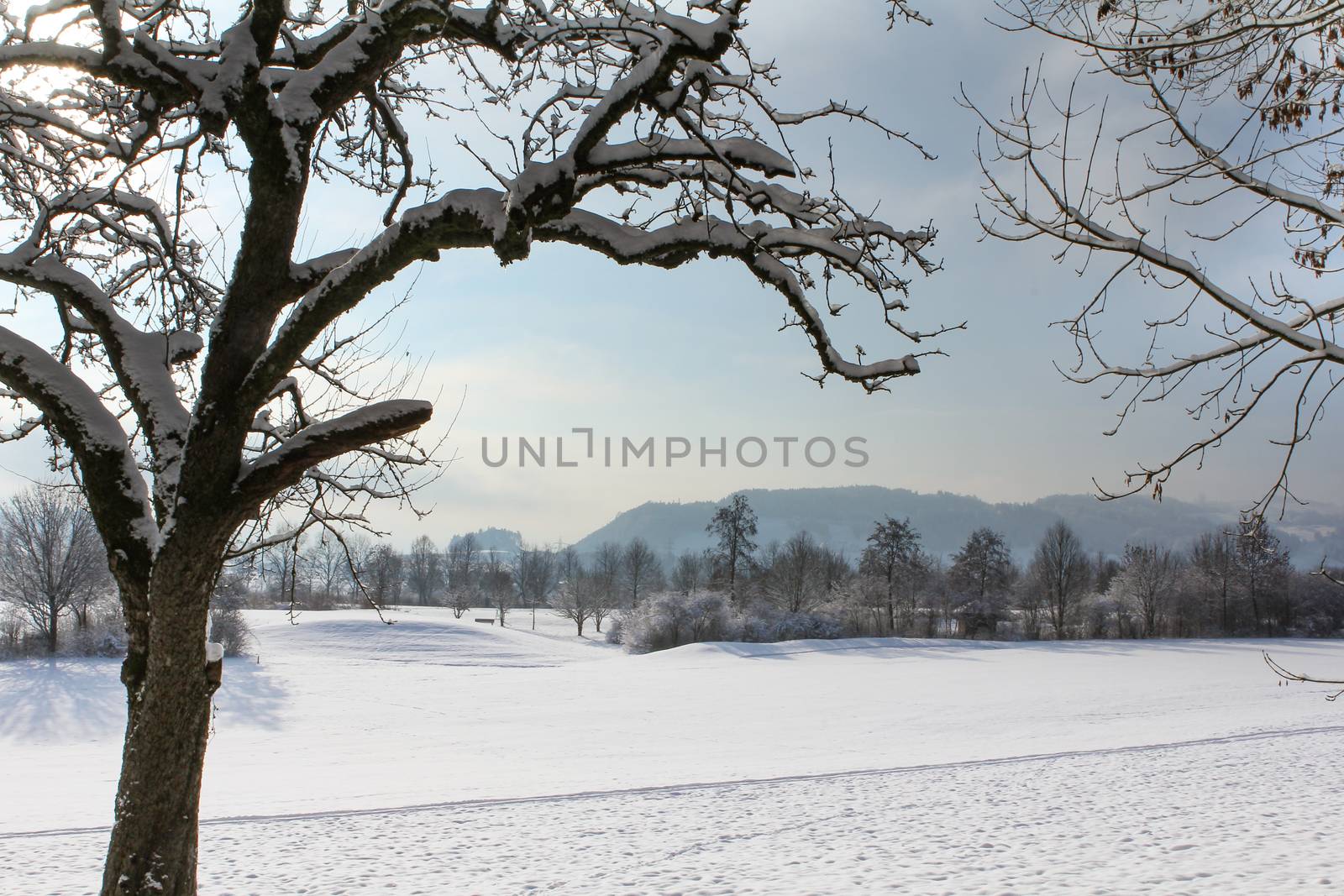 Winter landscape early morning after a light snowfall in Zug, by PeterHofstetter