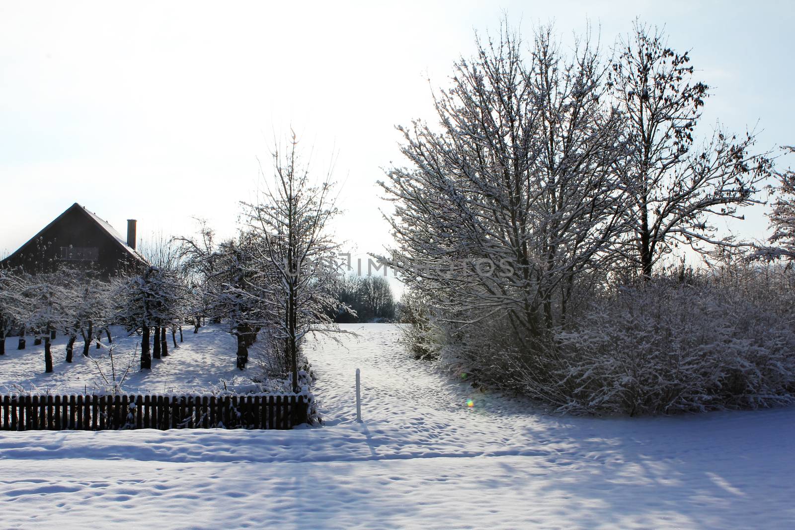 Winter landscape early morning after a light snowfall in Zug, by PeterHofstetter