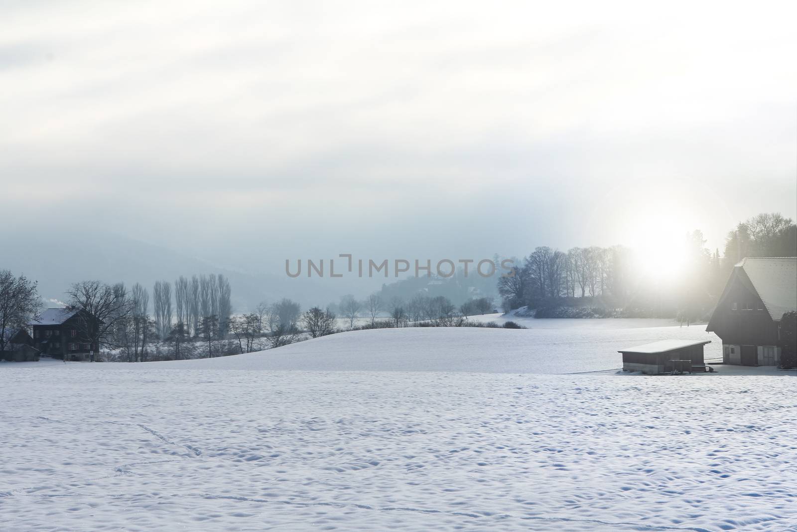 Winter landscape early morning after a light snowfall in Zug, by PeterHofstetter