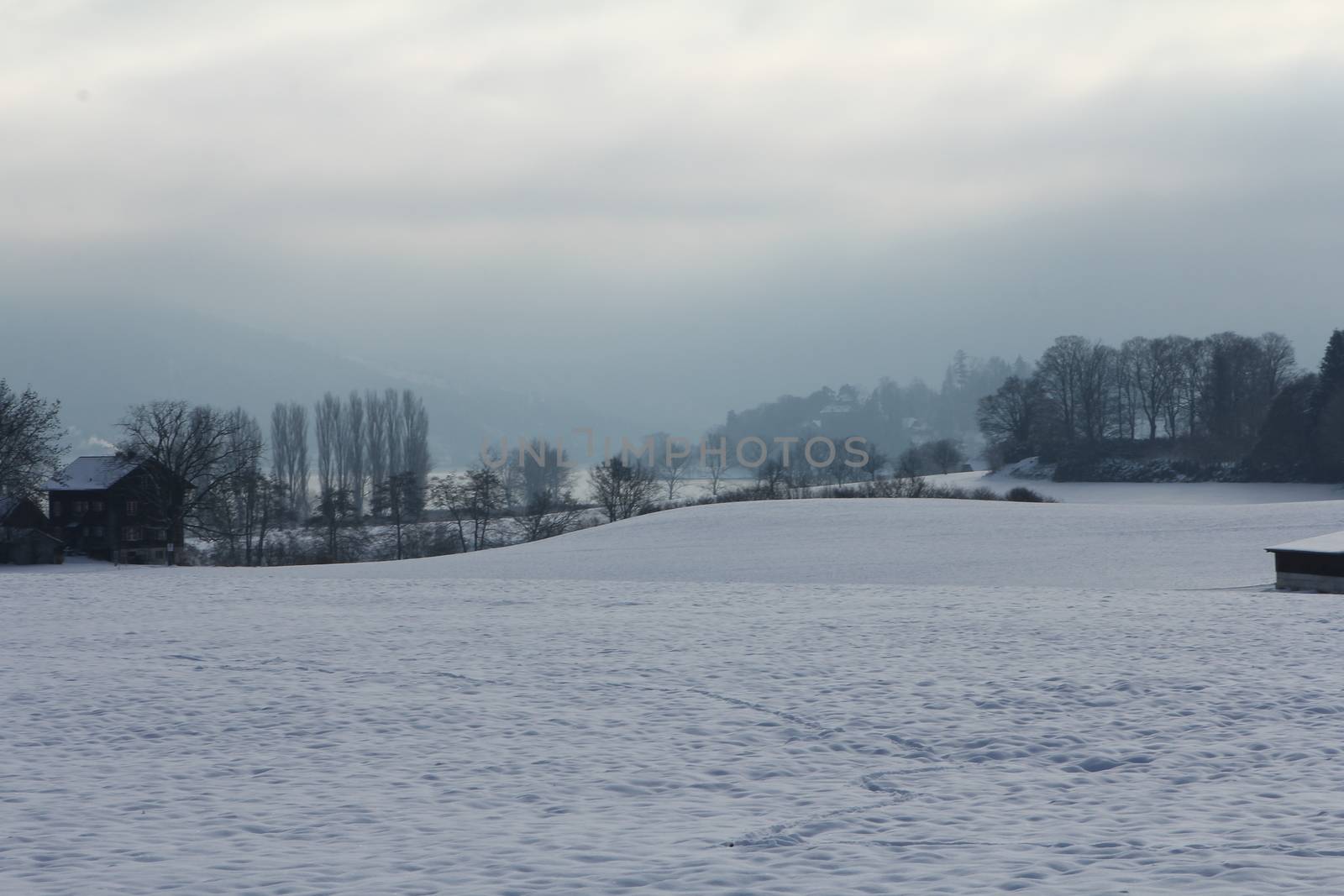 Winter landscape early morning after a light snowfall in Zug, Switzerland. With tracks in the snow and trees