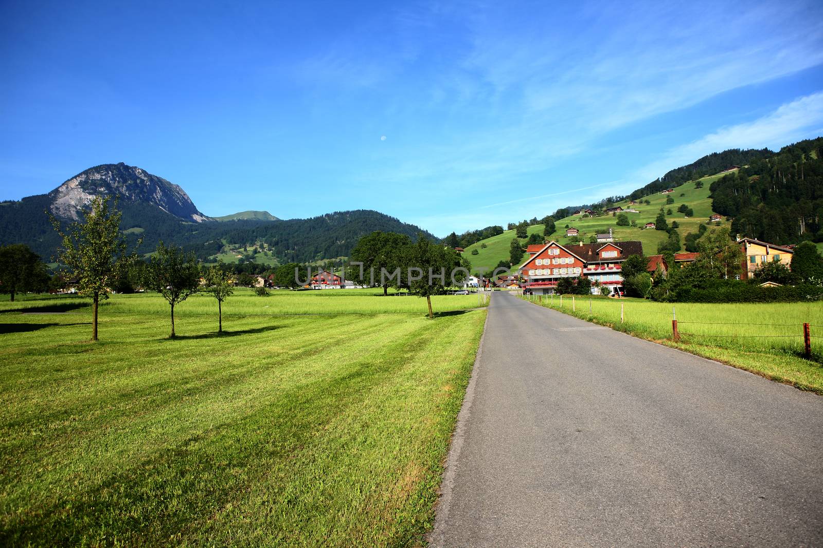 Mountains in switzerland, green grass and swiss house by PeterHofstetter