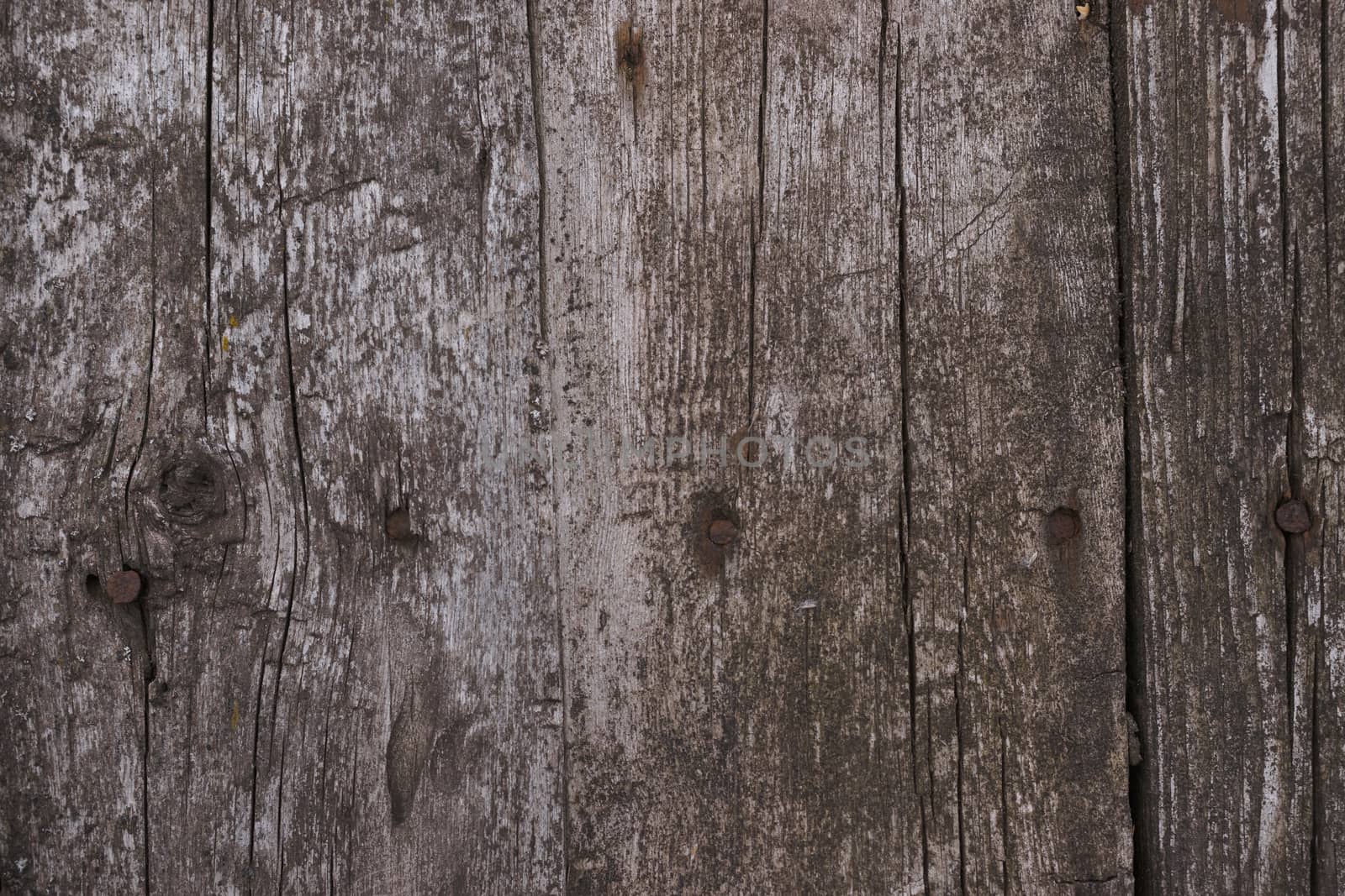 Old wooden texured surface closeup. Moss and relief on surface. Stock photo of old wooden pattern of aged boards with moss. Brown and gray colors on photo.