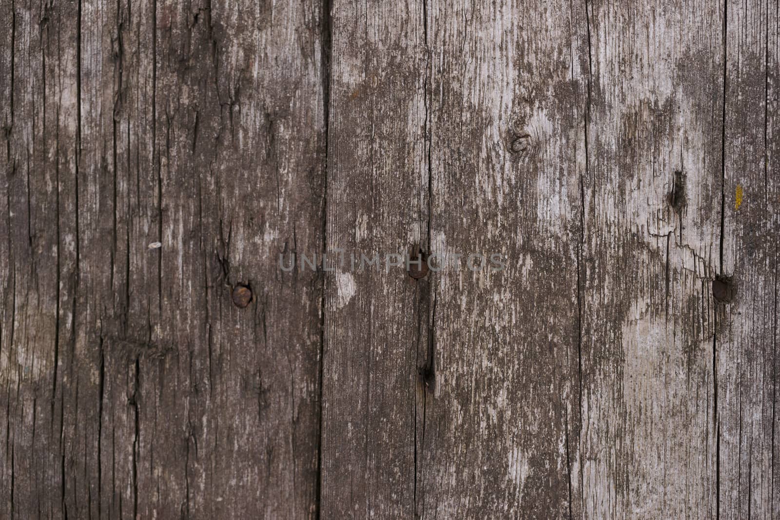 Old wooden texured surface closeup. Moss and relief on surface. Stock photo of old wooden pattern of aged boards with moss. Brown and gray colors on photo.