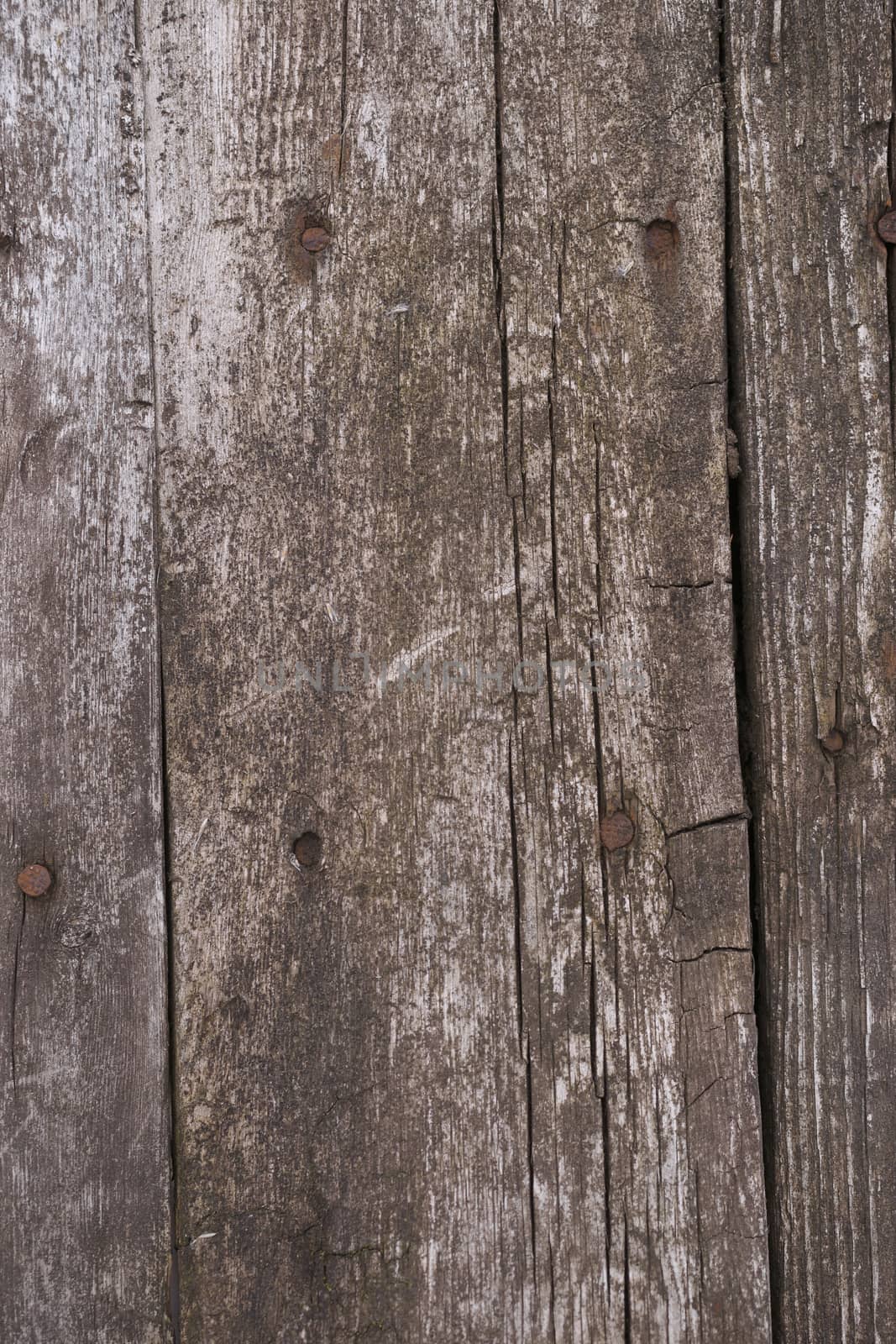 Old wooden texured surface closeup. Moss and relief on surface. Stock photo of old wooden pattern of aged boards with moss. Brown and gray colors on photo.