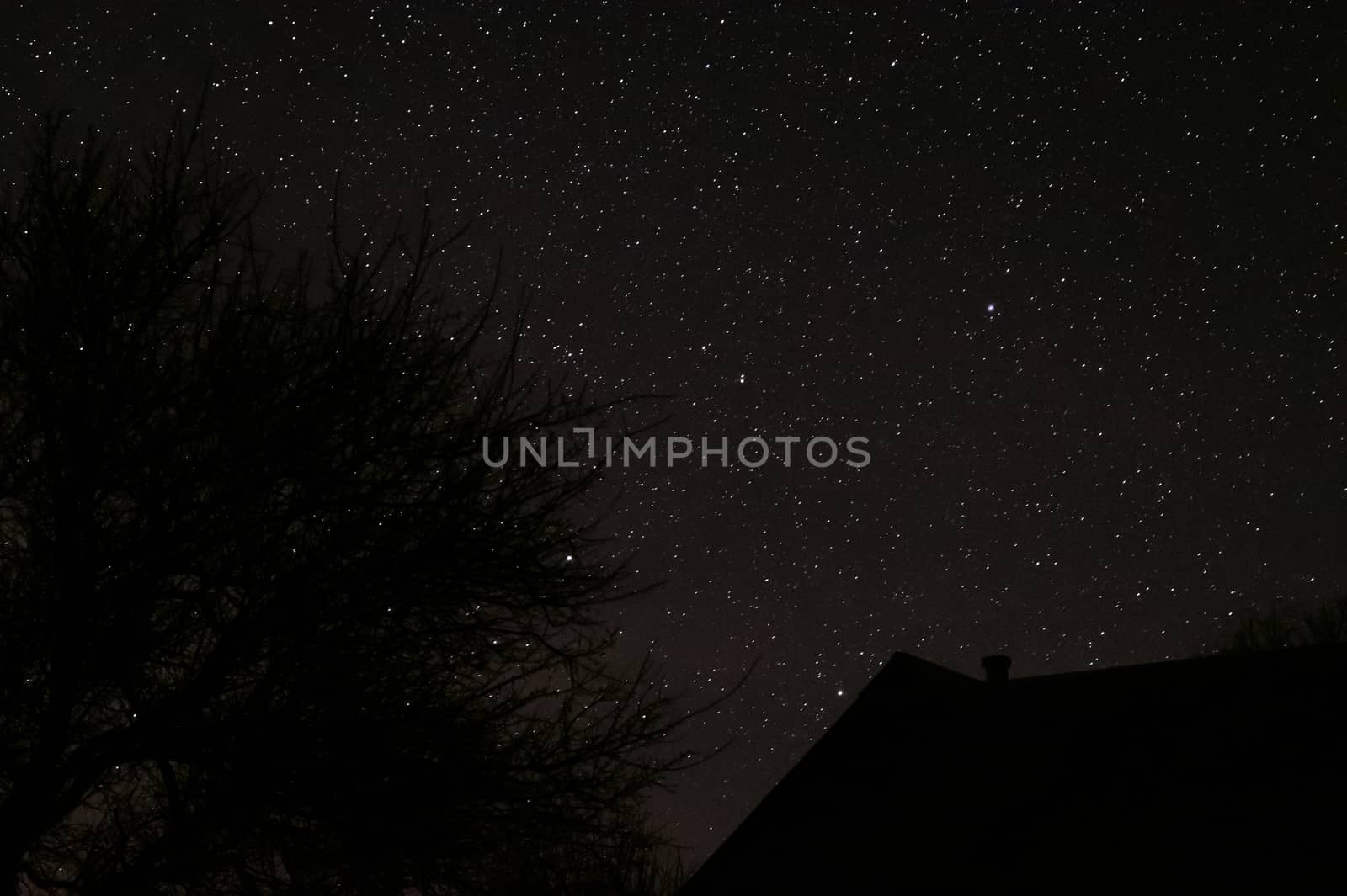 Long exposure night photo. A lot of stars with trees on foregrou by alexsdriver