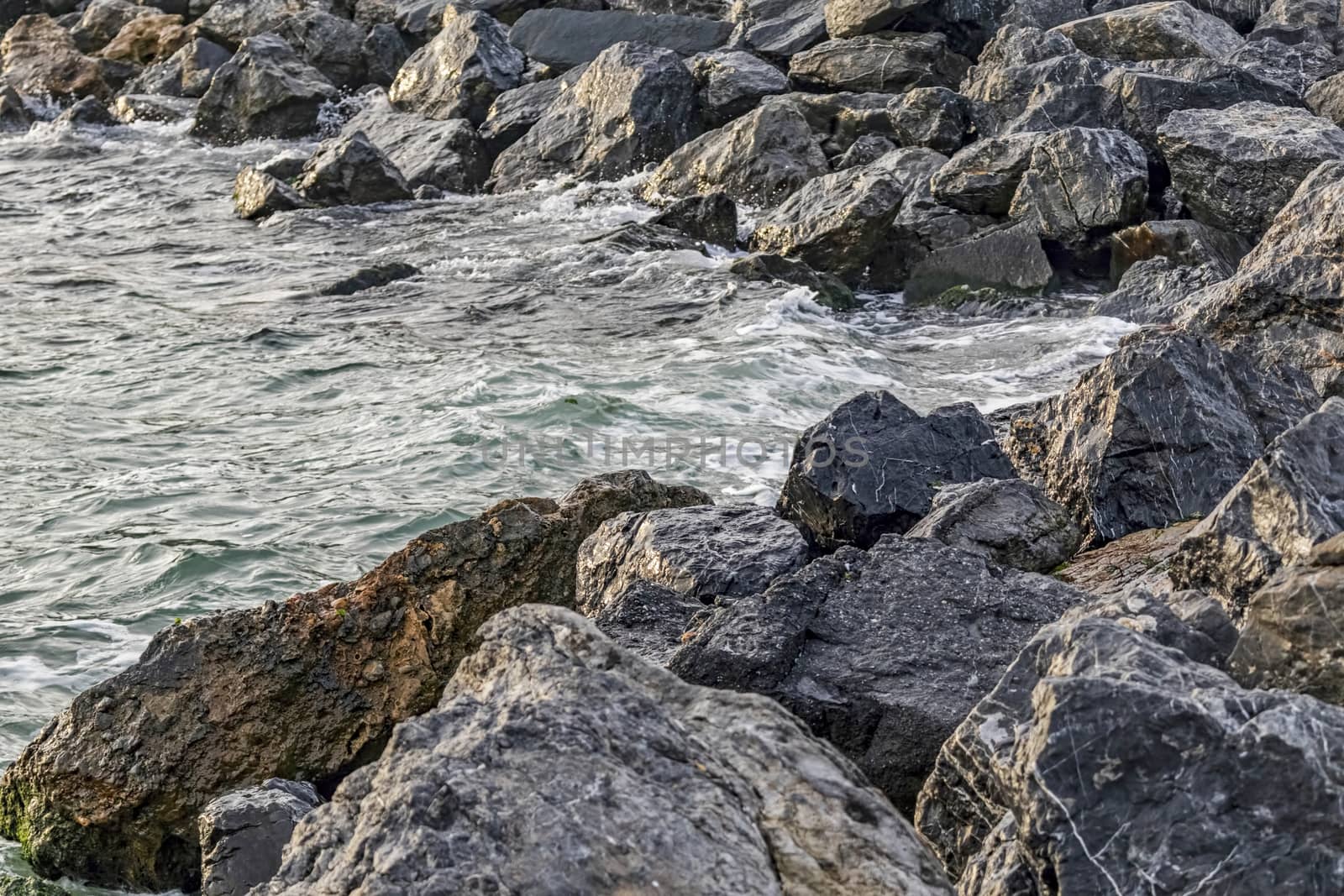 wavy sea view in nature for background and wallpaper