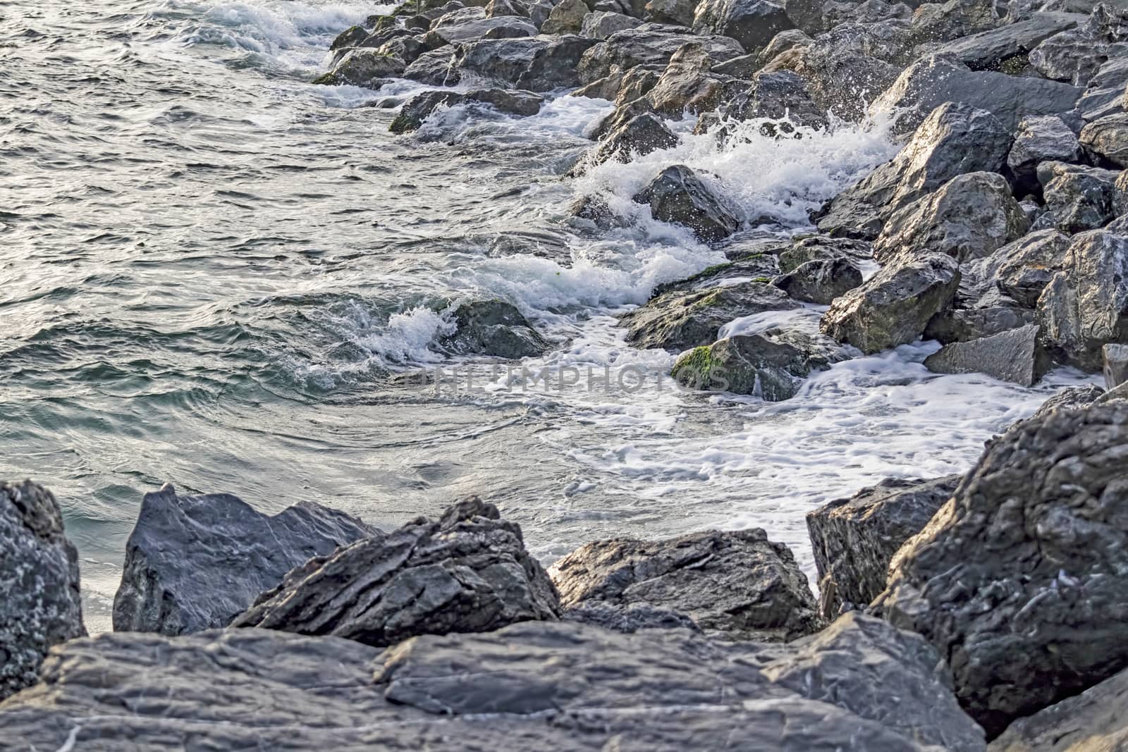 wavy sea view in nature for background and wallpaper