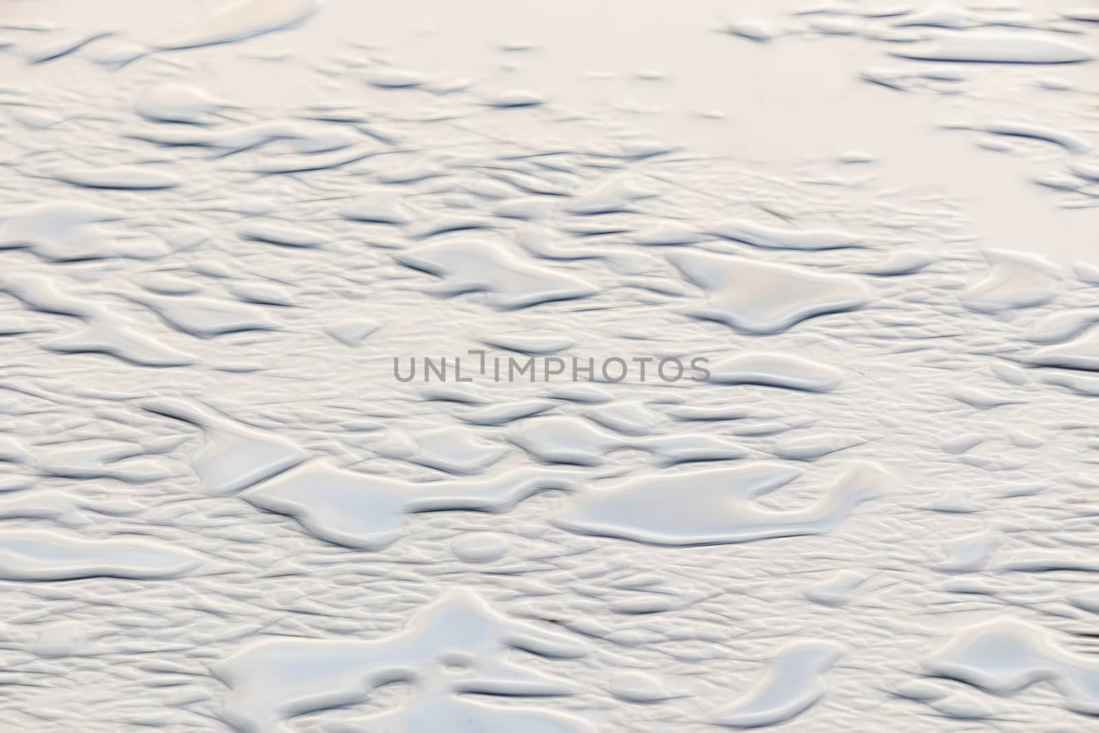 natural pattern view in nature for background and wallpaper