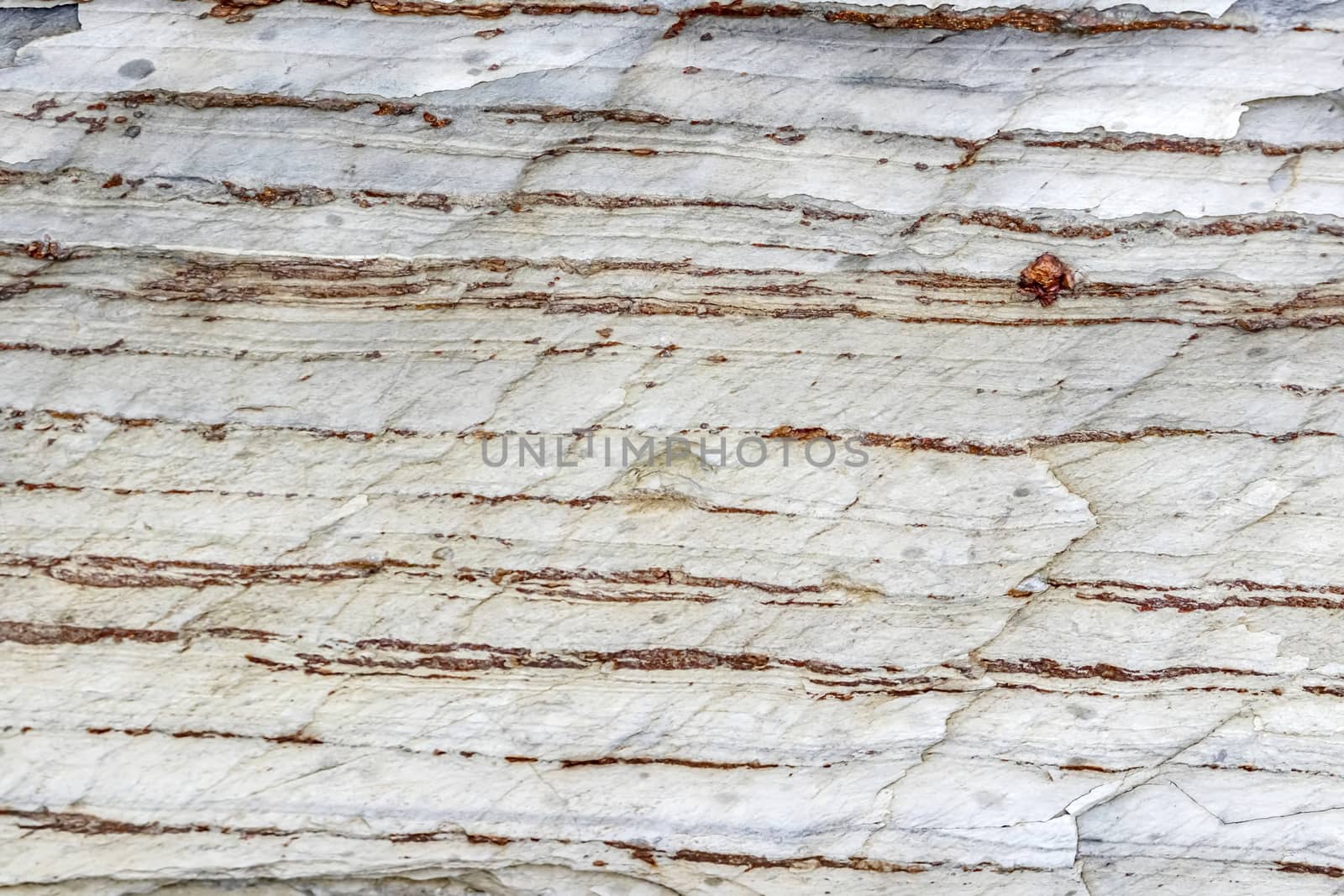 natural pattern view in nature for background and wallpaper