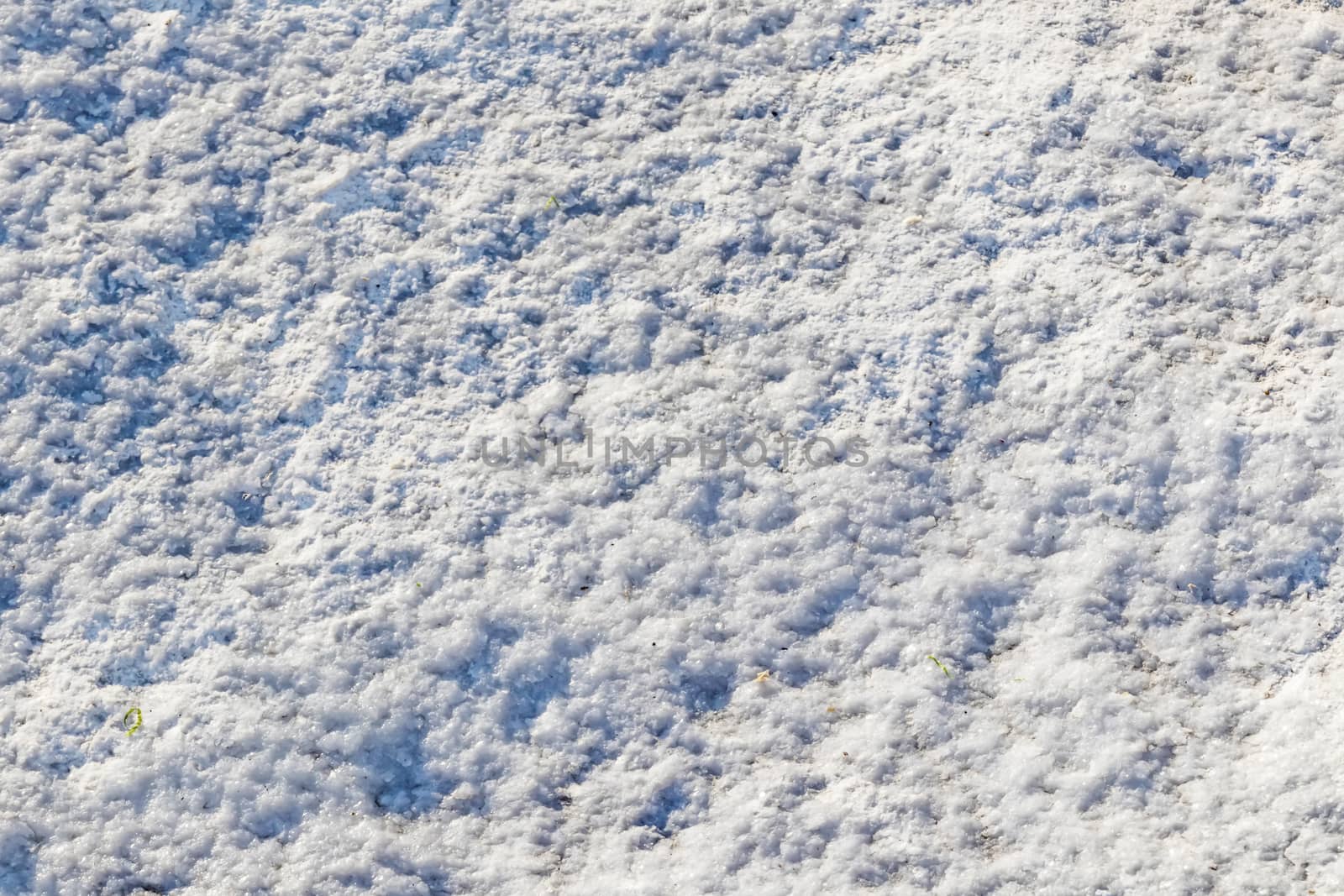 natural pattern view in nature for background and wallpaper