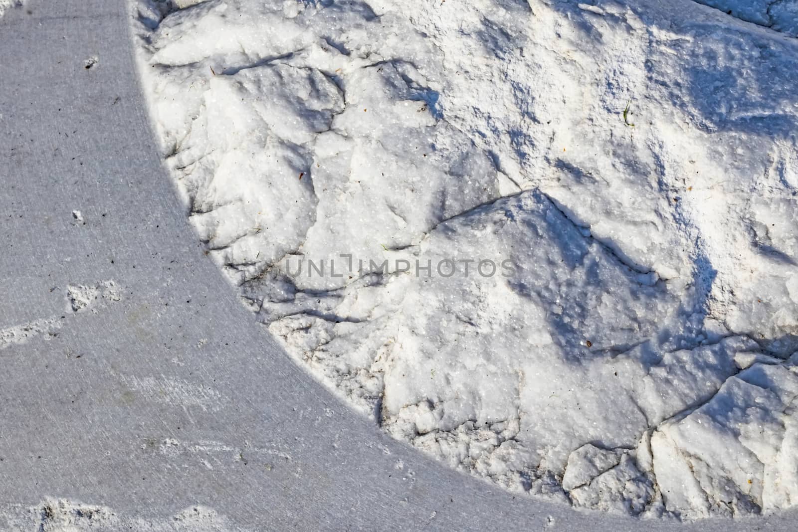 natural pattern view in nature for background and wallpaper