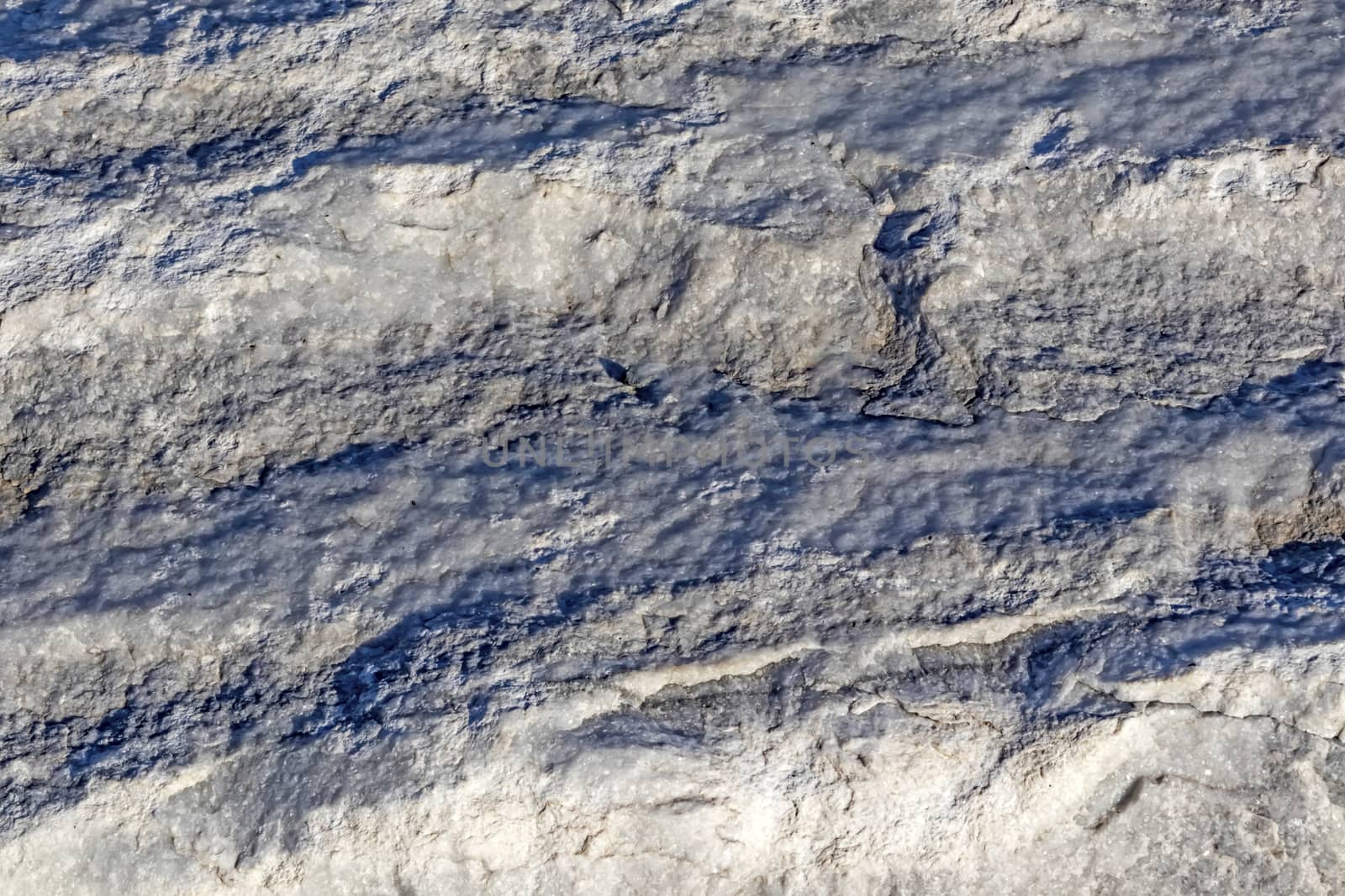 natural pattern view in nature for background and wallpaper
