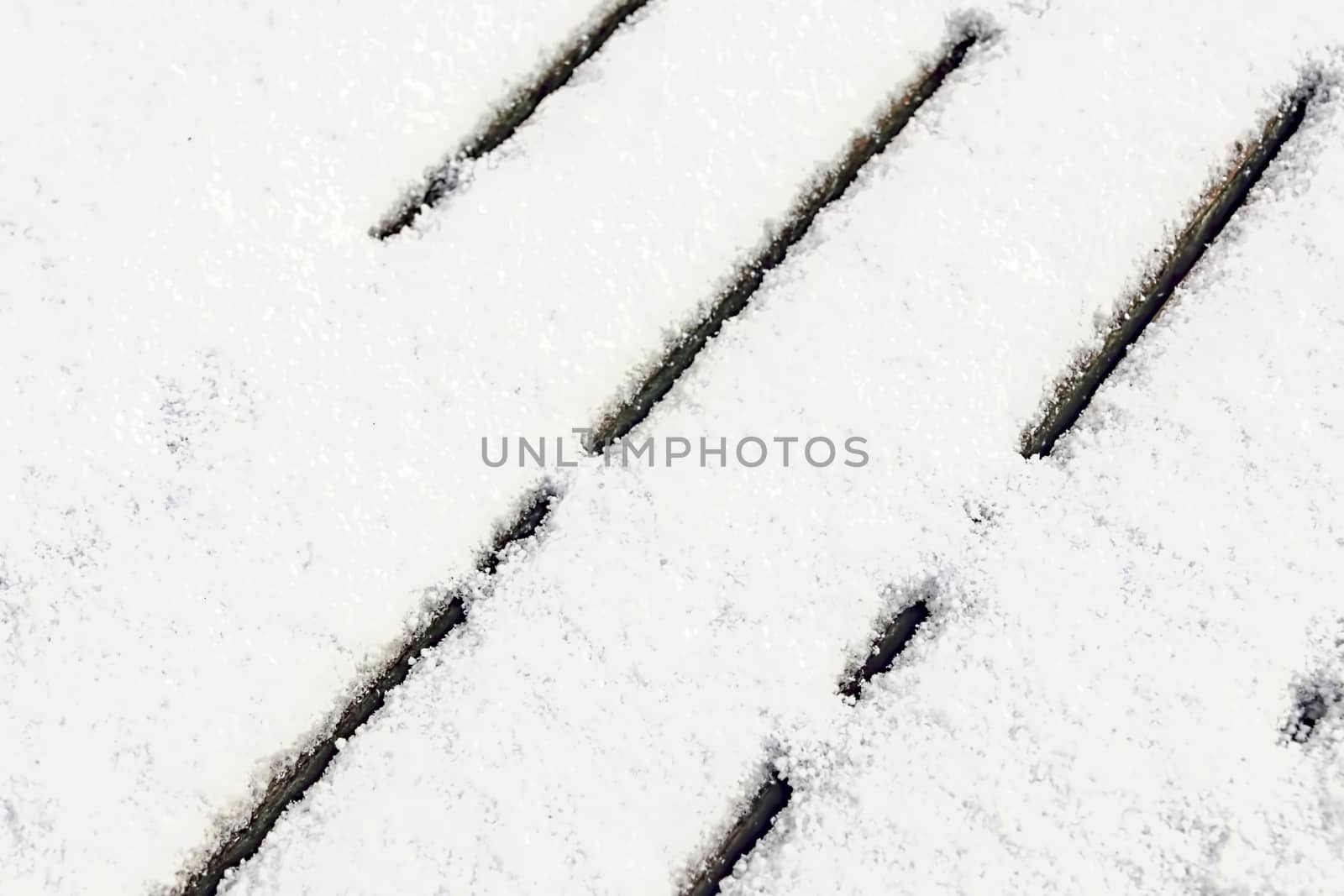 natural pattern view in nature for background and wallpaper