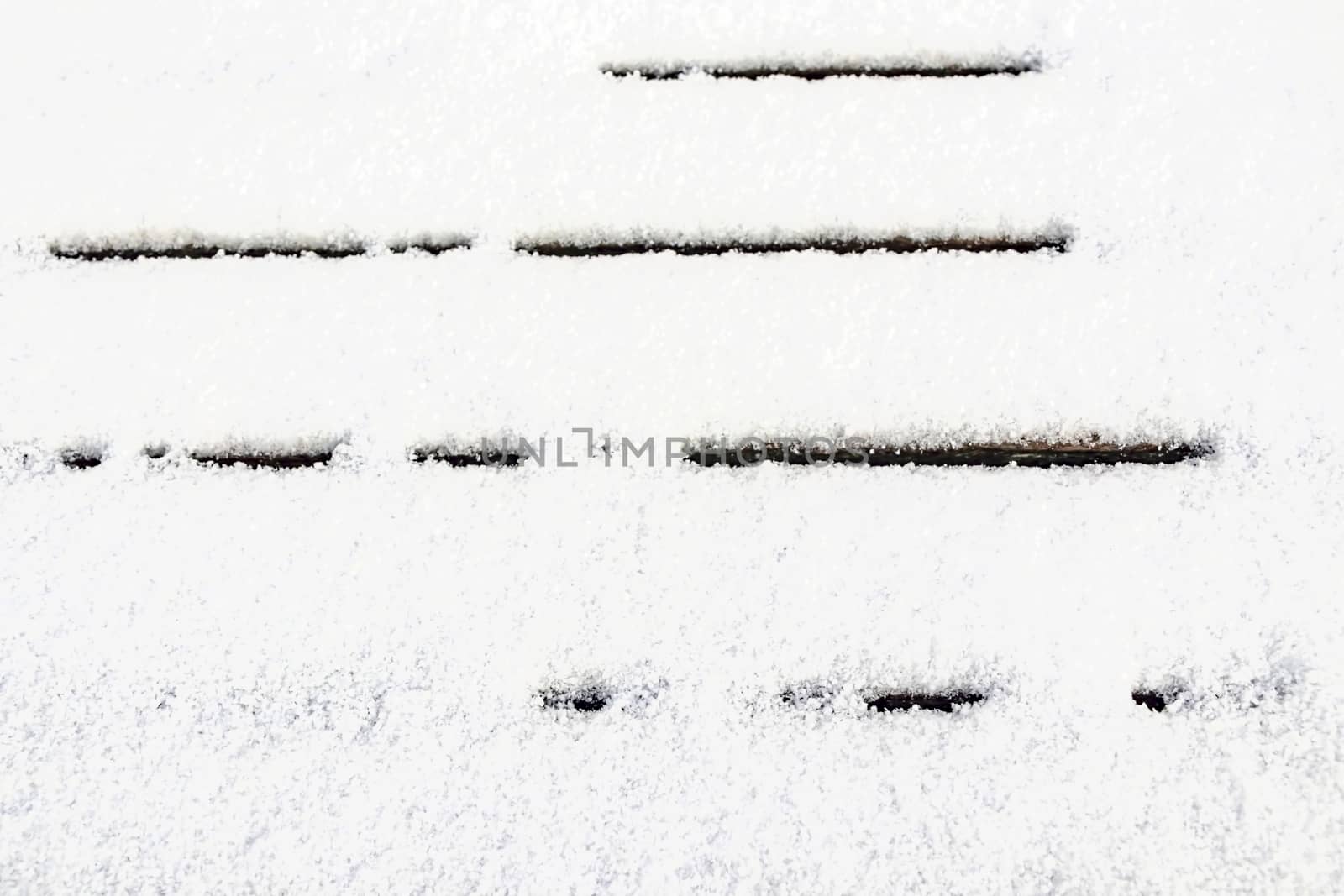 natural pattern view in nature for background and wallpaper