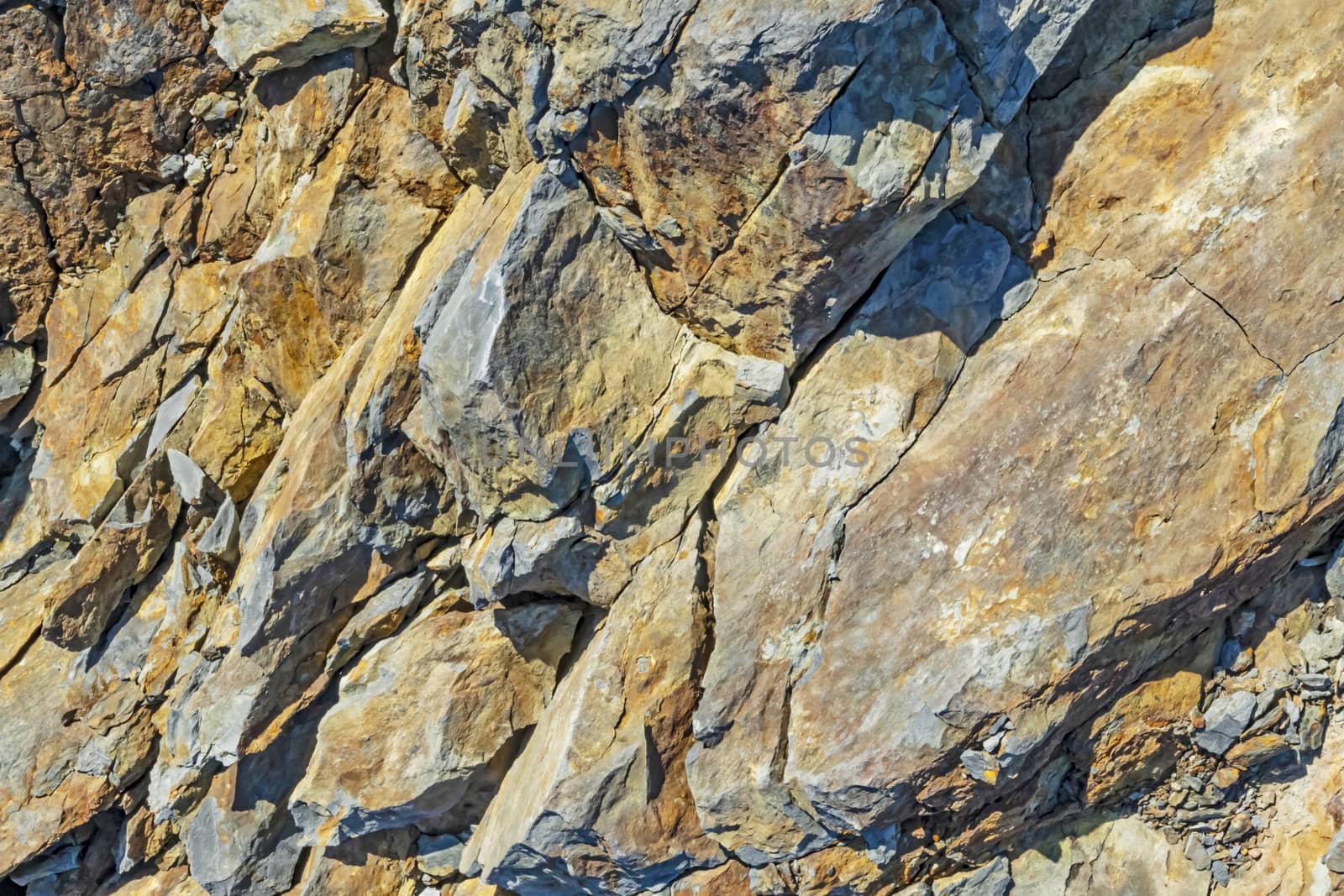 natural pattern view in nature for background and wallpaper