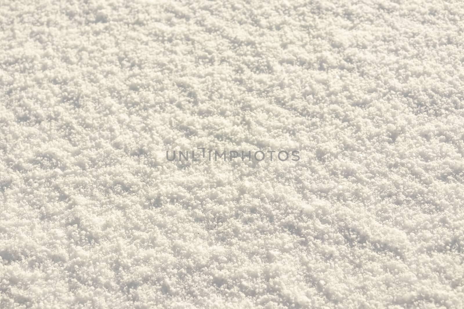 natural pattern view in nature for background and wallpaper