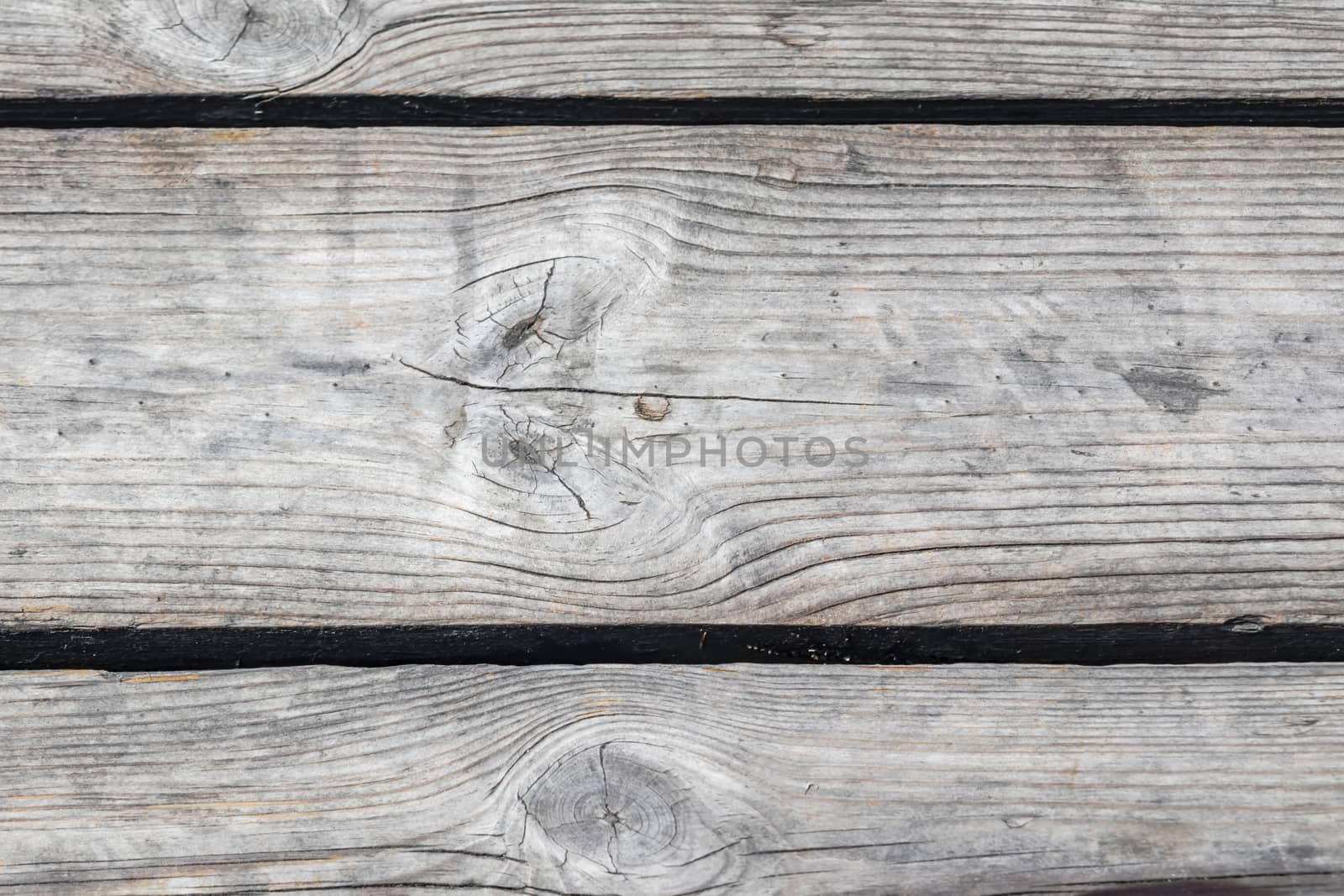 natural pattern view in nature for background and wallpaper