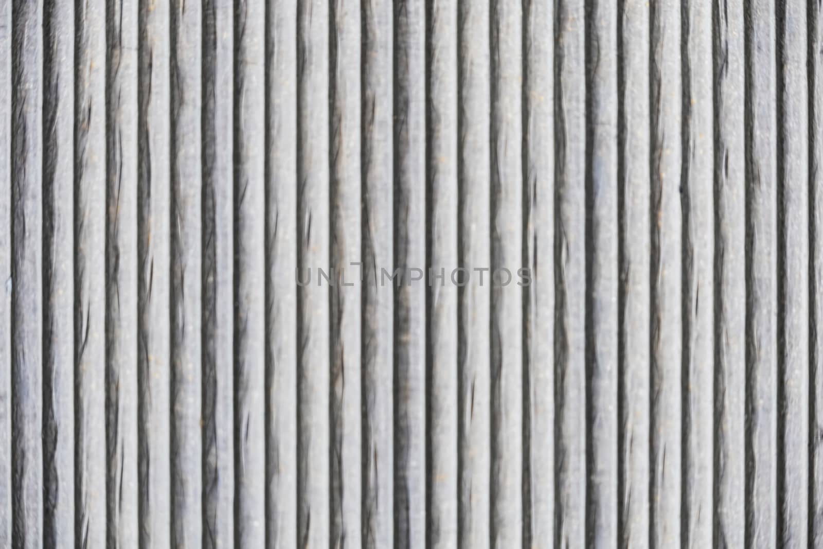 natural pattern view in nature for background and wallpaper