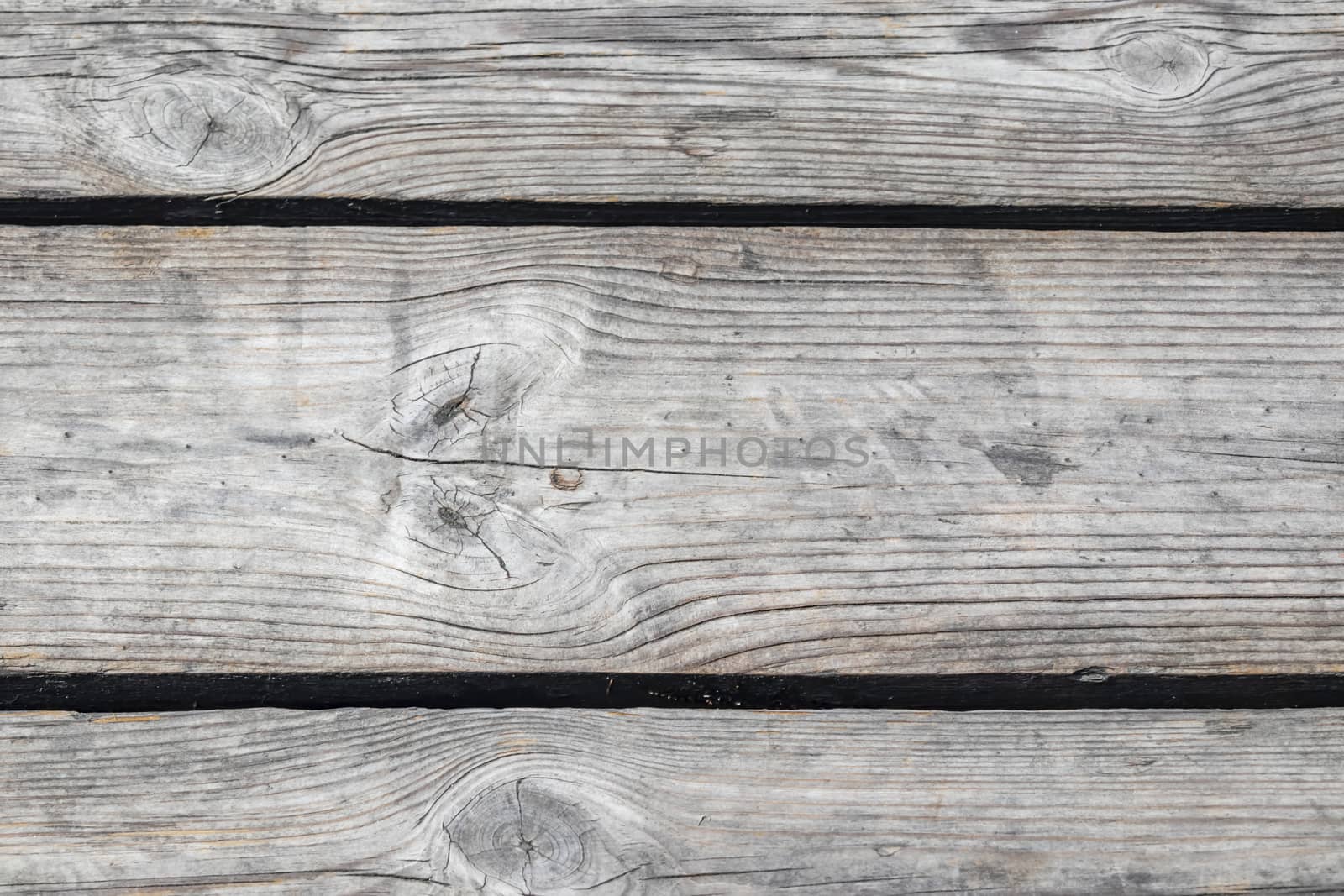 natural pattern view in nature for background and wallpaper