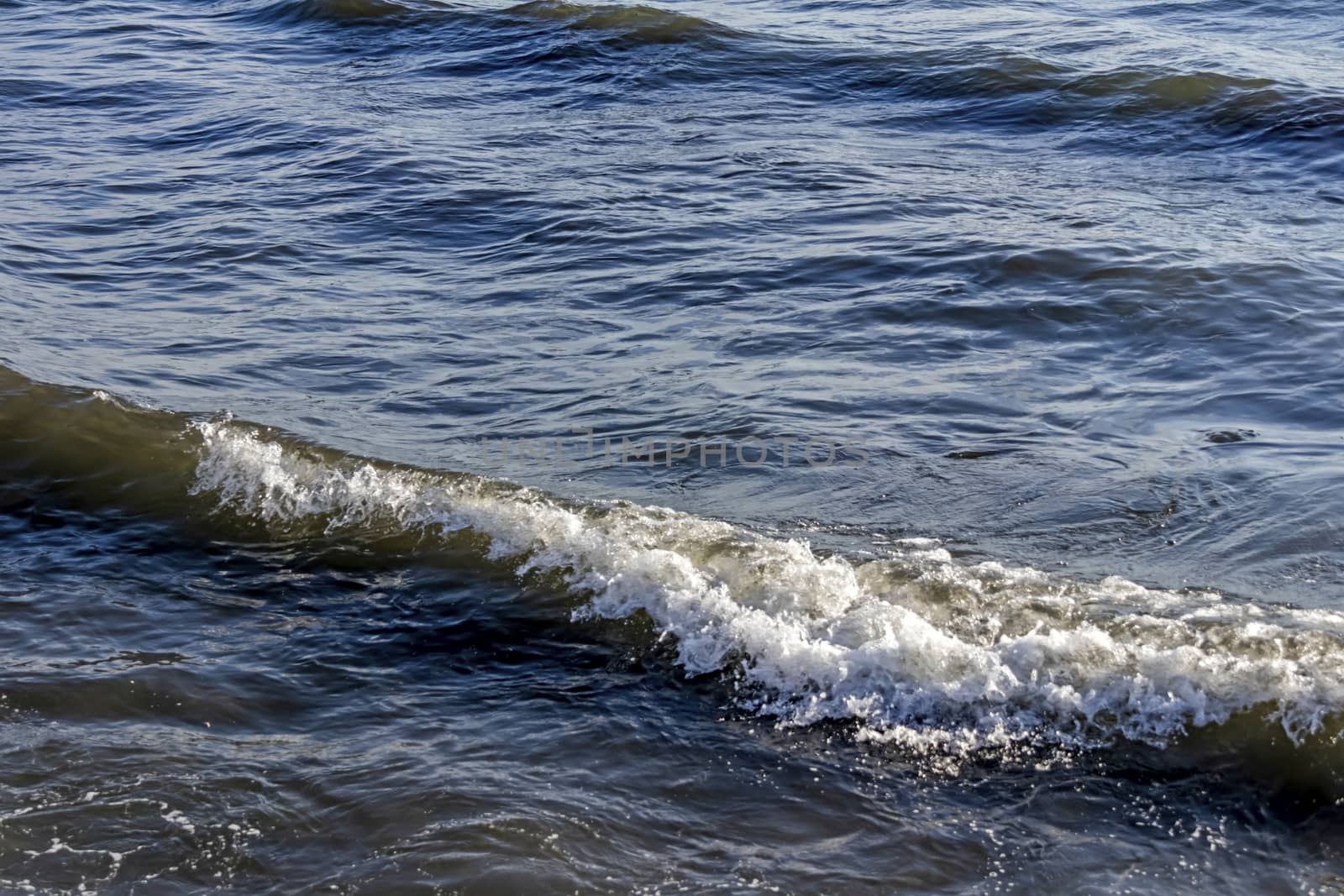 wavy sea view in nature for background and wallpaper