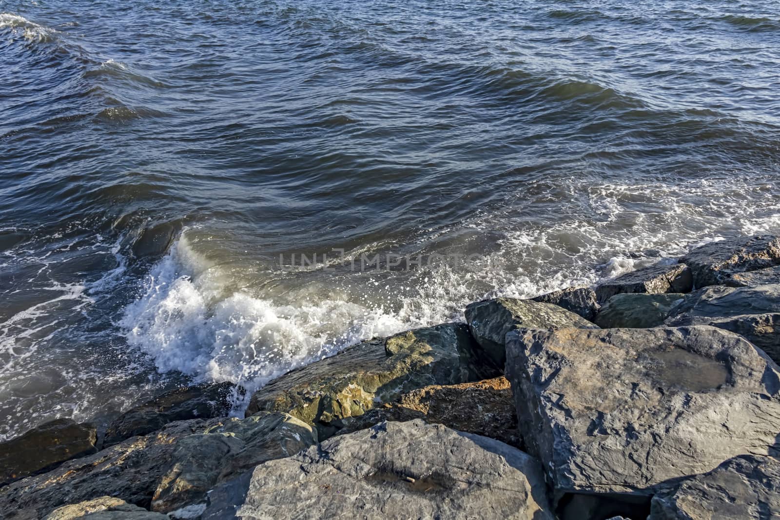 wavy sea view in nature for background and wallpaper