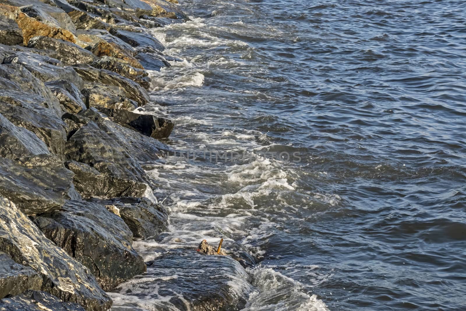 wavy sea view in nature for background and wallpaper