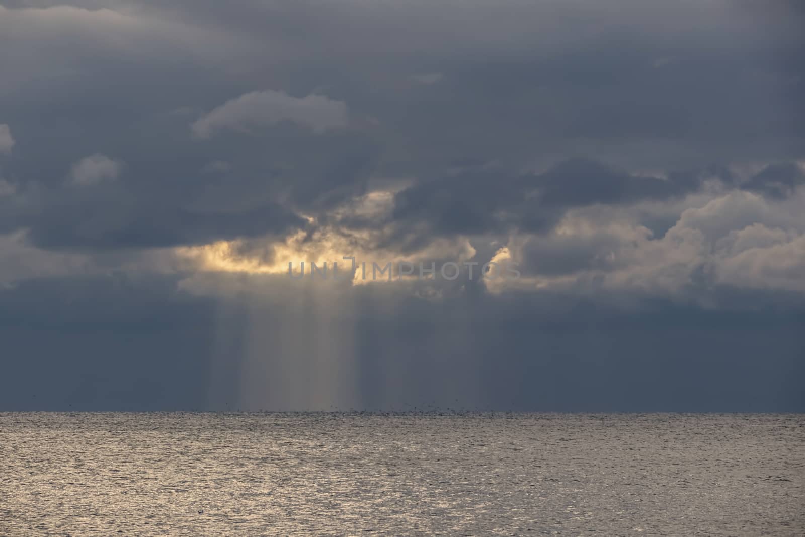 wavy sea view in nature for background and wallpaper