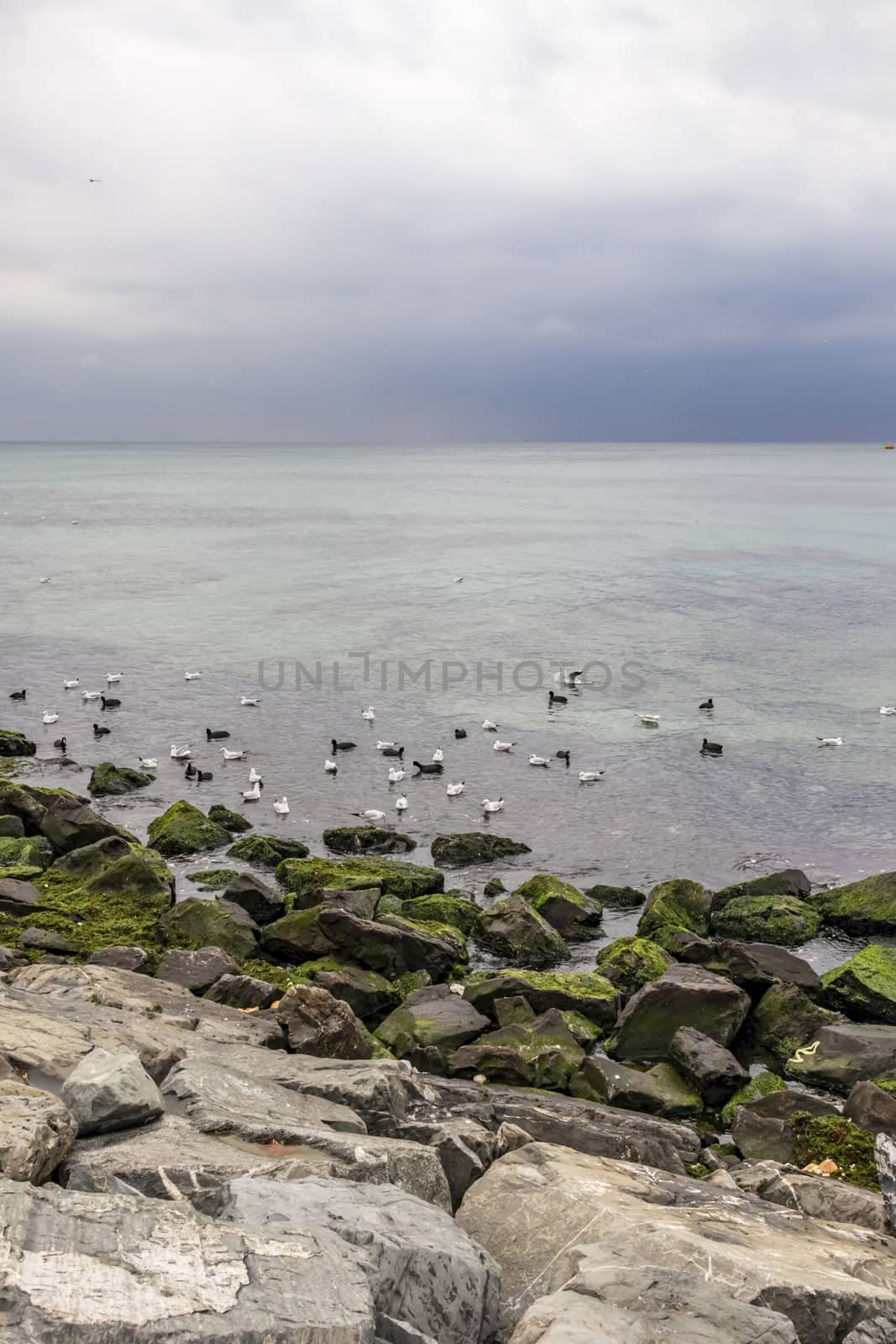 relaxing sea view in nature for background and wallpaper by yilmazsavaskandag