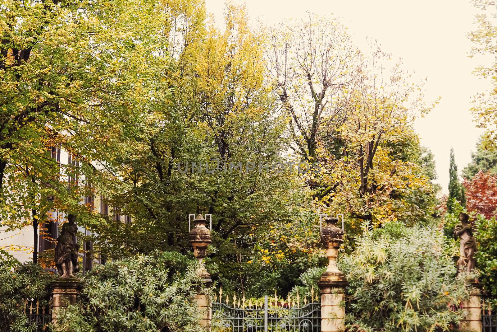 Autumn nature in park, fall leaves and trees outdoors, beautiful season in Milan, Lombardy region in Northern Italy