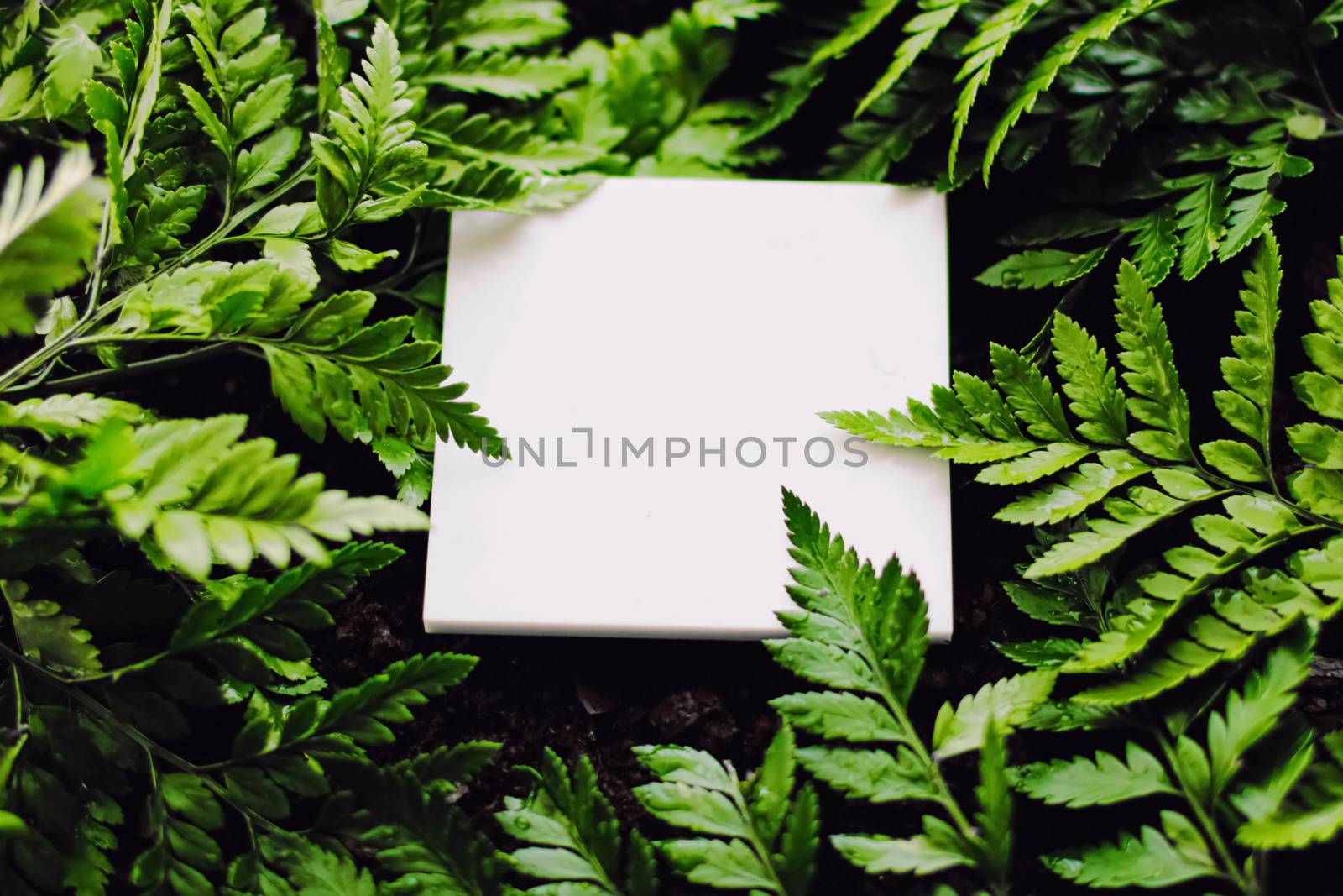 Blank card on green grass background, branding by Anneleven