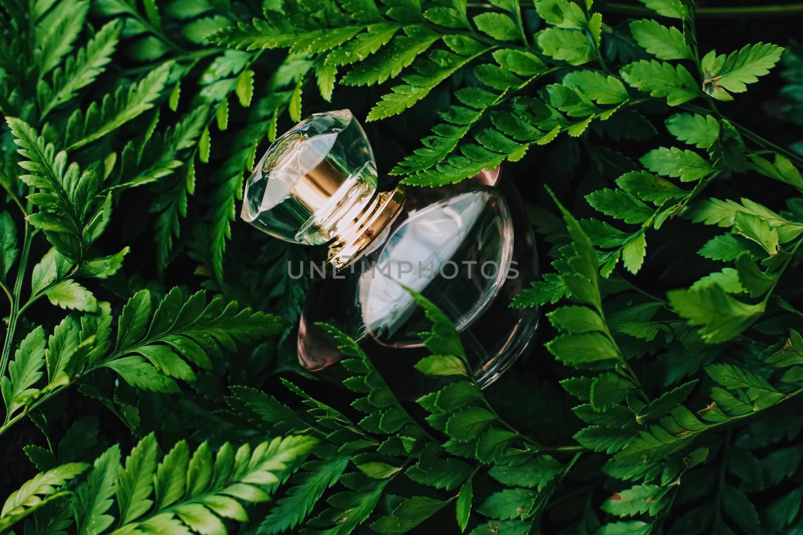 Perfume bottle with aromatic tropical scent in nature, luxury summer fragrance