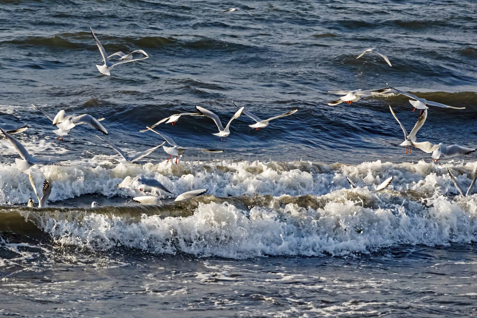 wavy sea view in nature for background and wallpaper