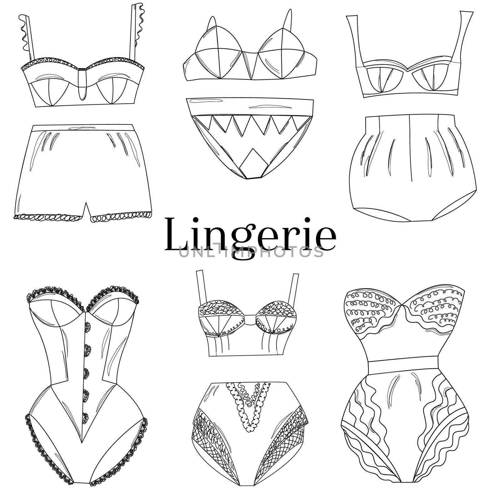 Line art female lingerie collection. Lace underwear set , panties, bras, knickers isolated on white background. Vector illustration.