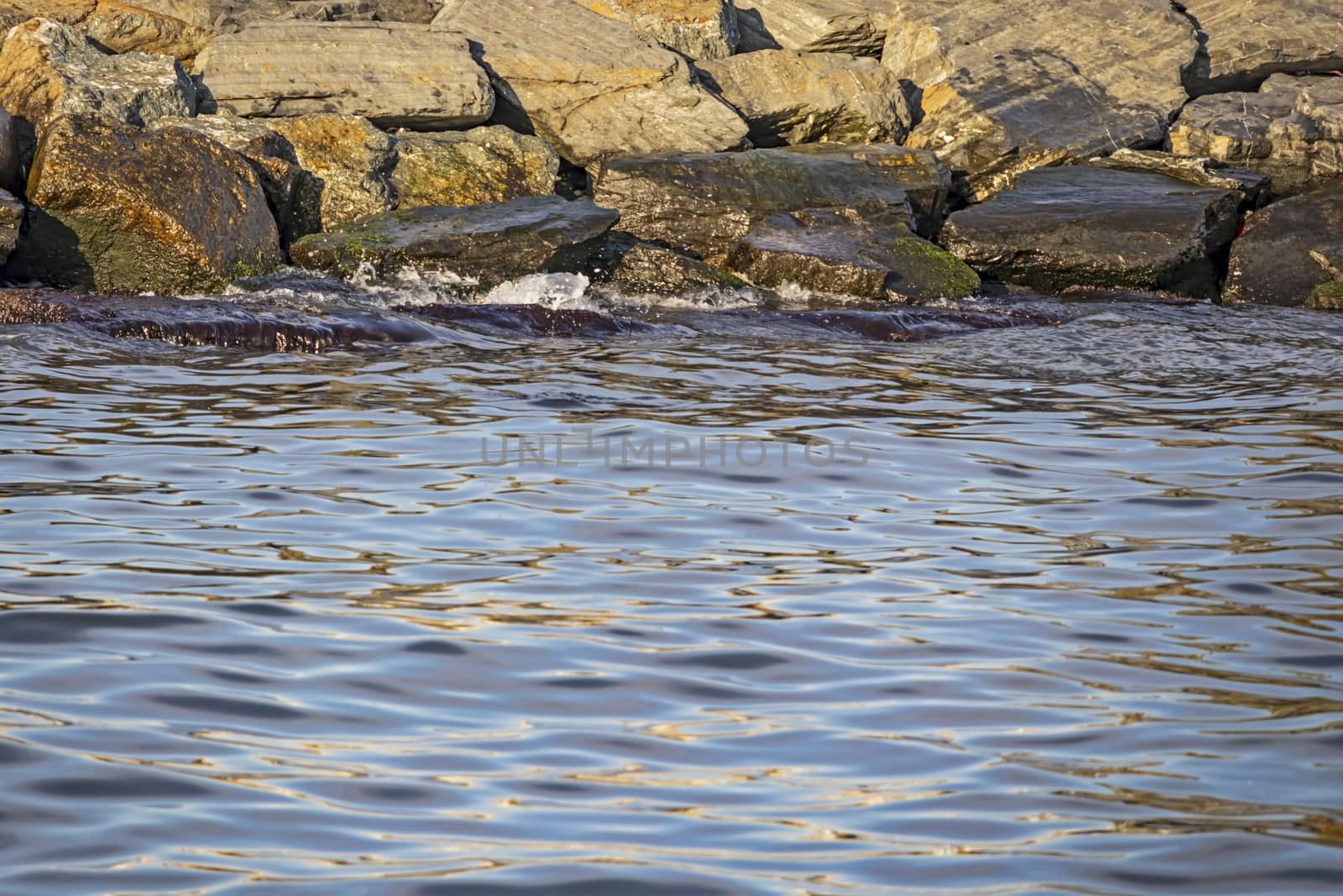 wavy sea view in nature for background and wallpaper