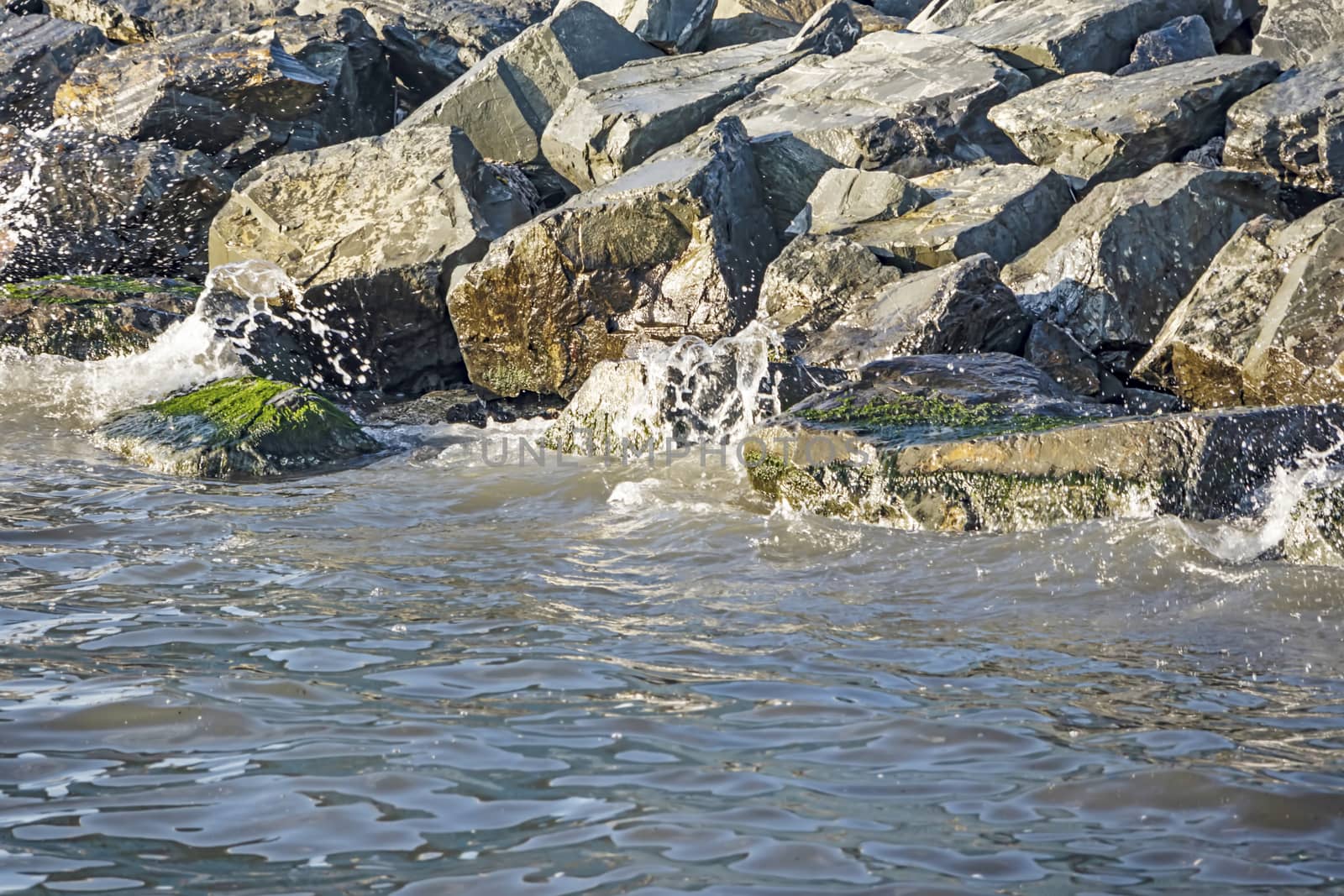 wavy sea view in nature for background and wallpaper